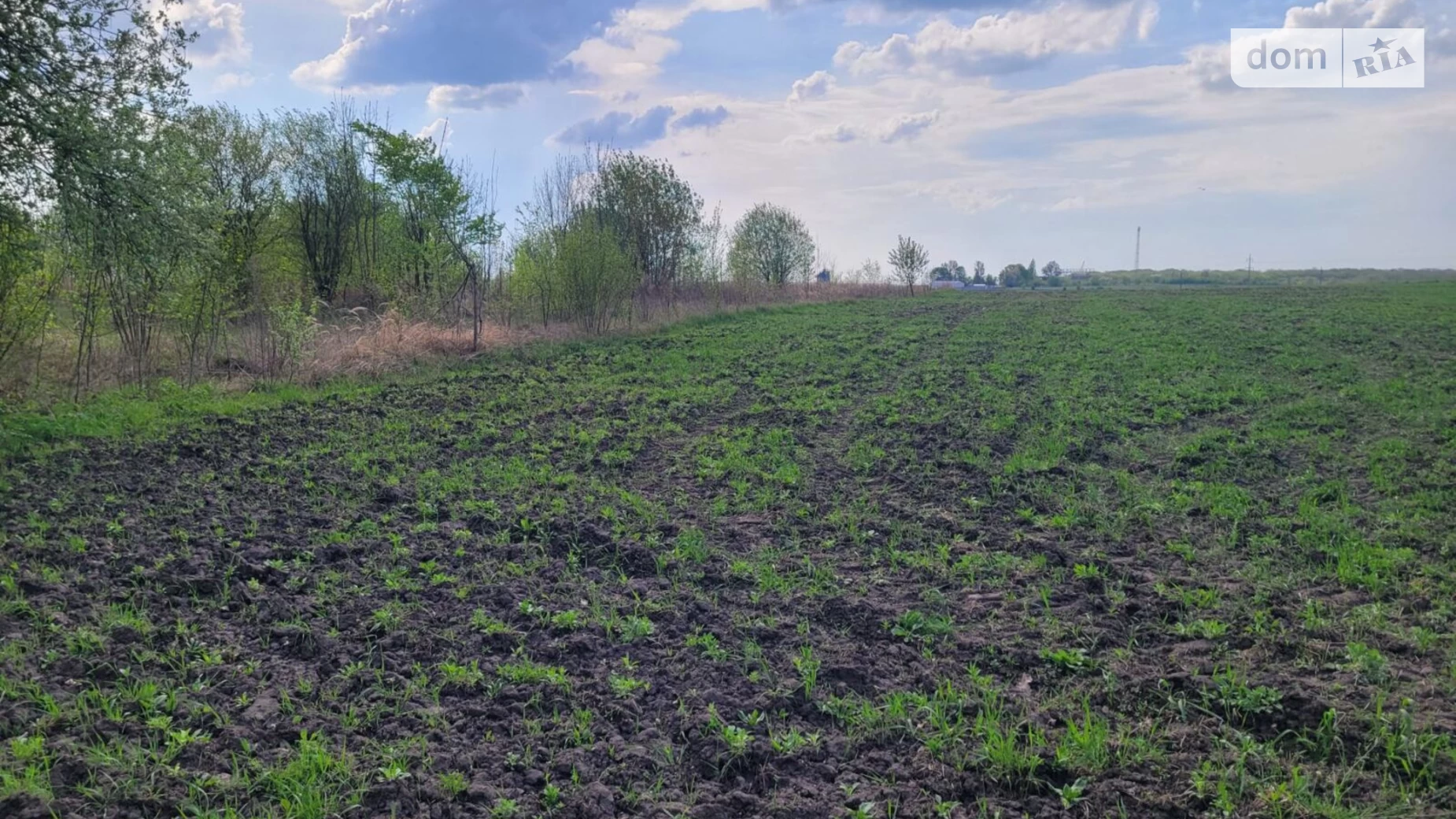 Продається земельна ділянка 27 соток у Тернопільській області, цена: 12000 $ - фото 5