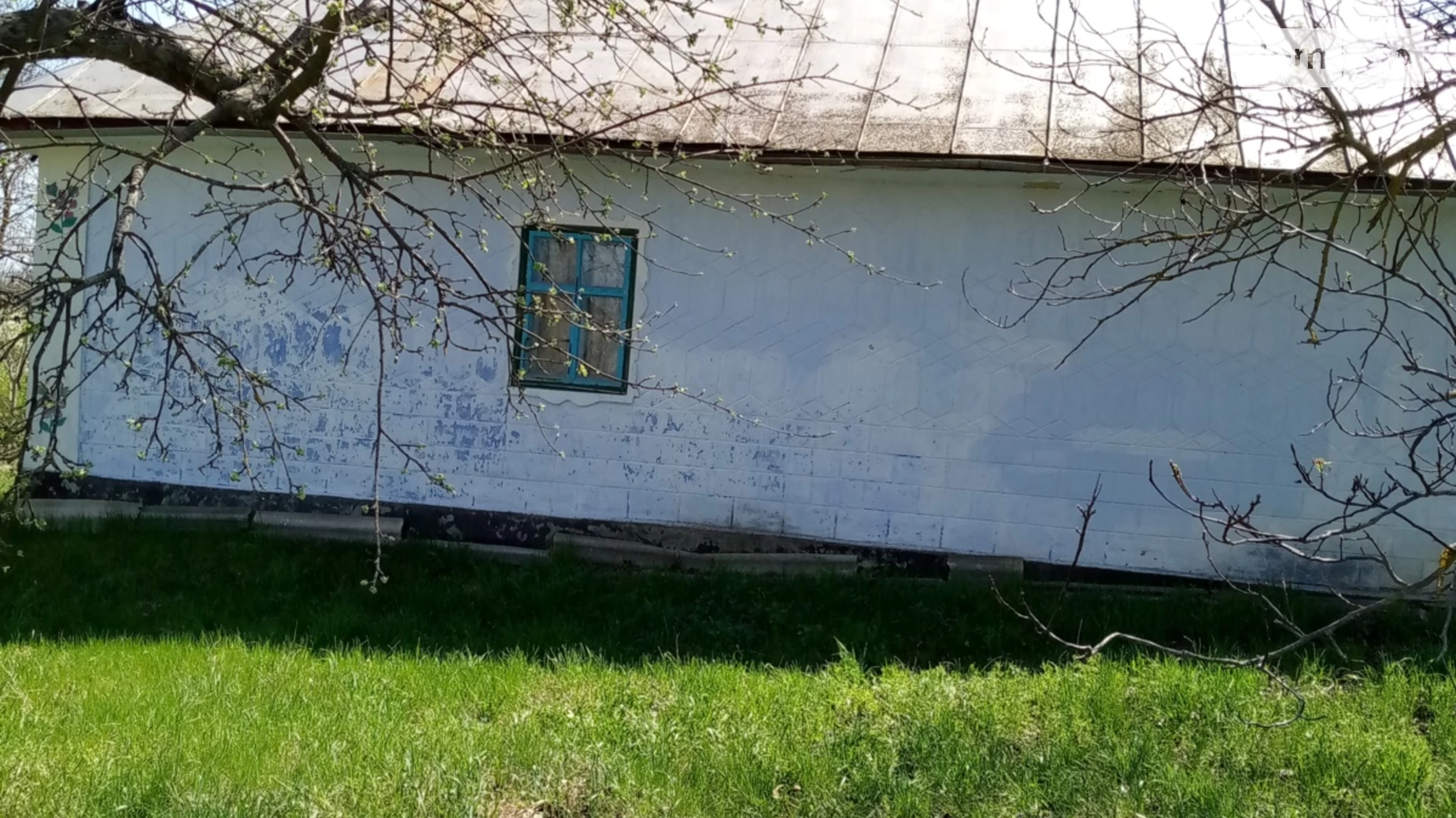 Щучинці, цена: 1800 $ - фото 4