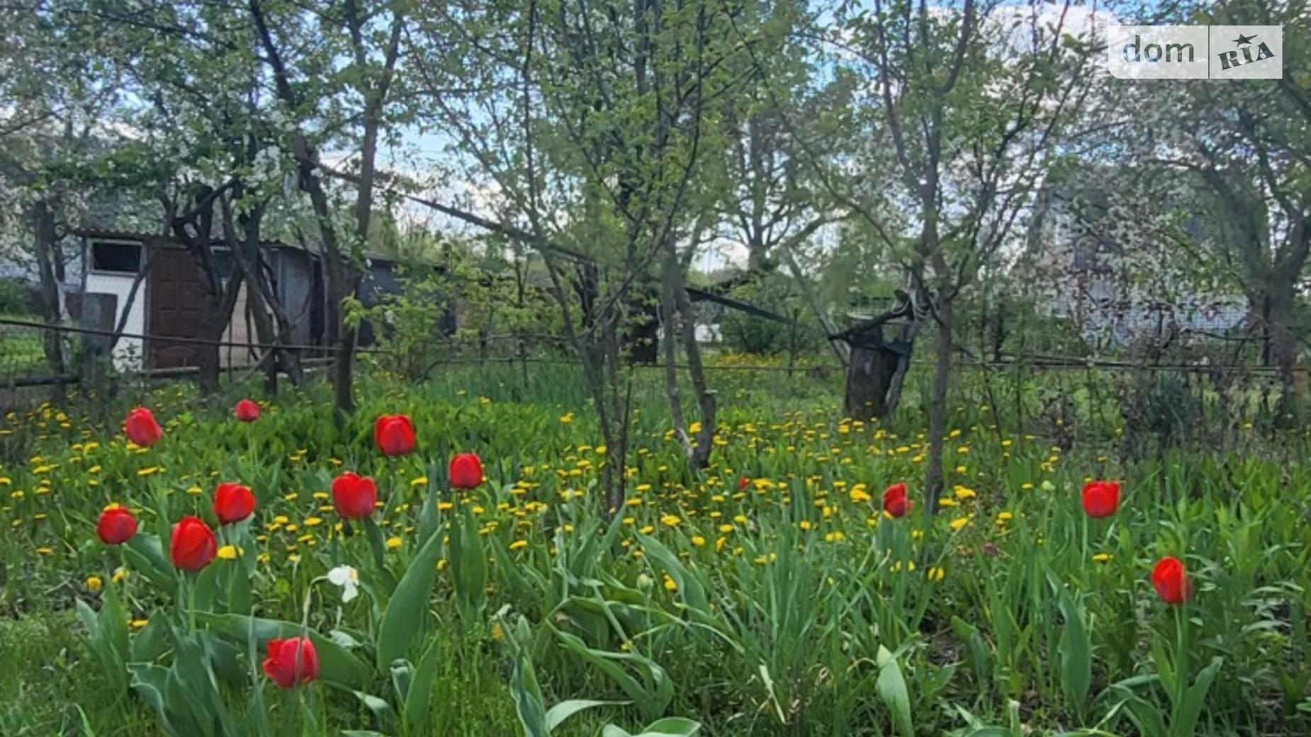Продається будинок 3 поверховий 50 кв. м з садом, цена: 6000 $ - фото 2
