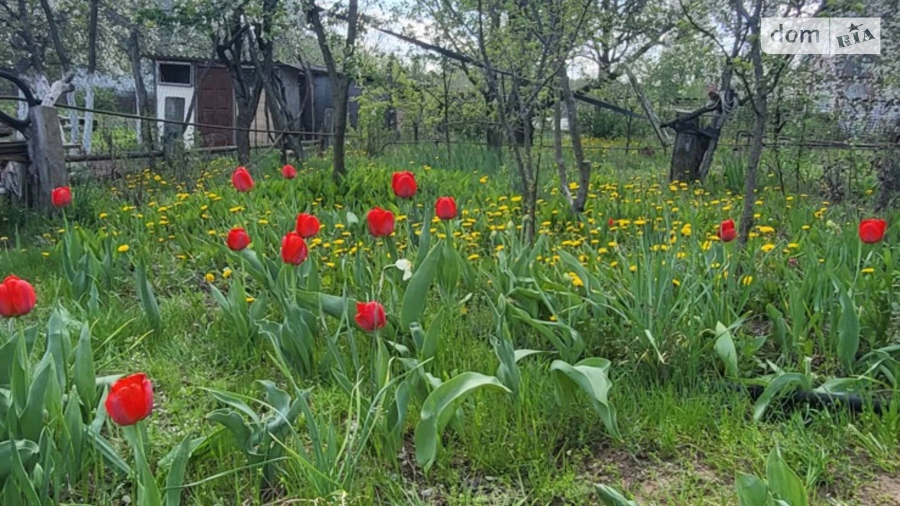 Продається будинок 3 поверховий 50 кв. м з садом, цена: 6000 $ - фото 3