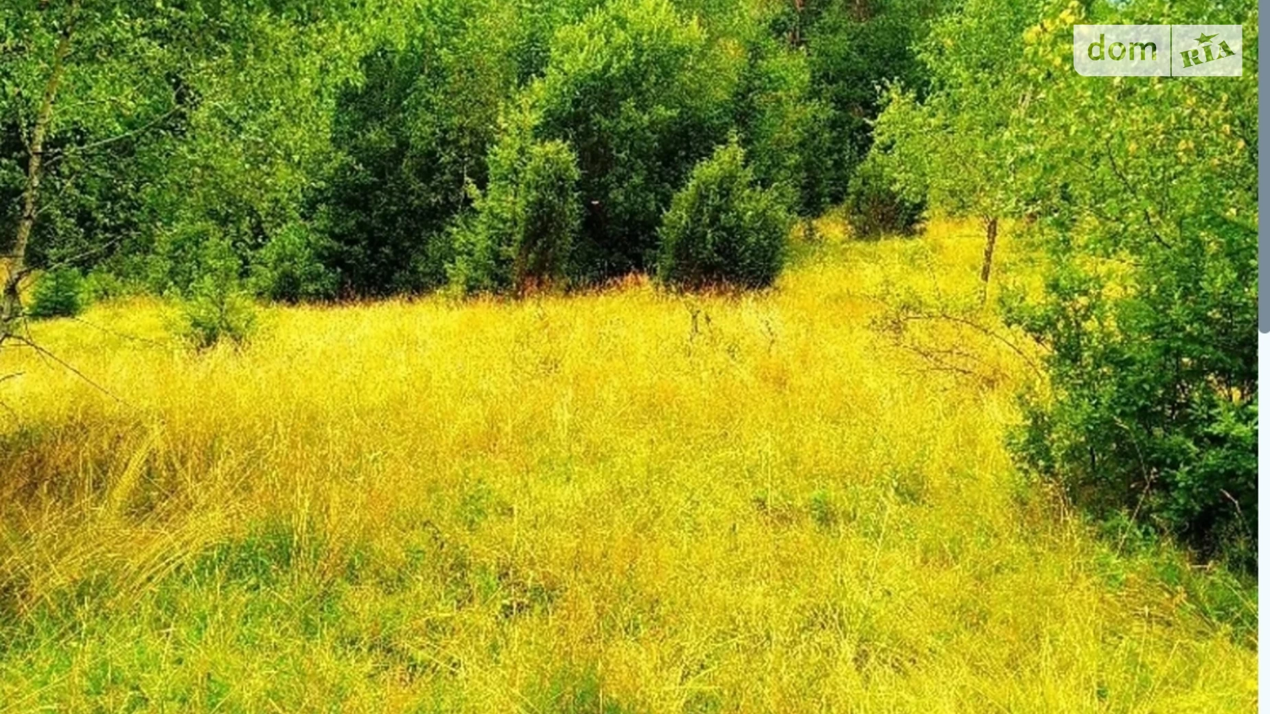 Либохора (Сколе), цена: 75000 $ - фото 3