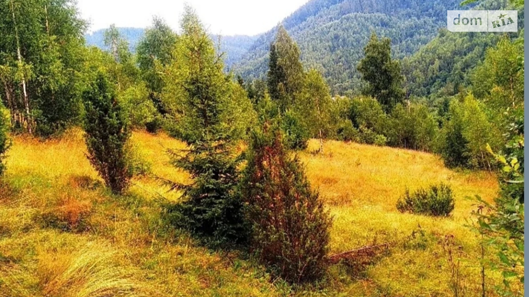 Либохора (Сколе), цена: 75000 $ - фото 5