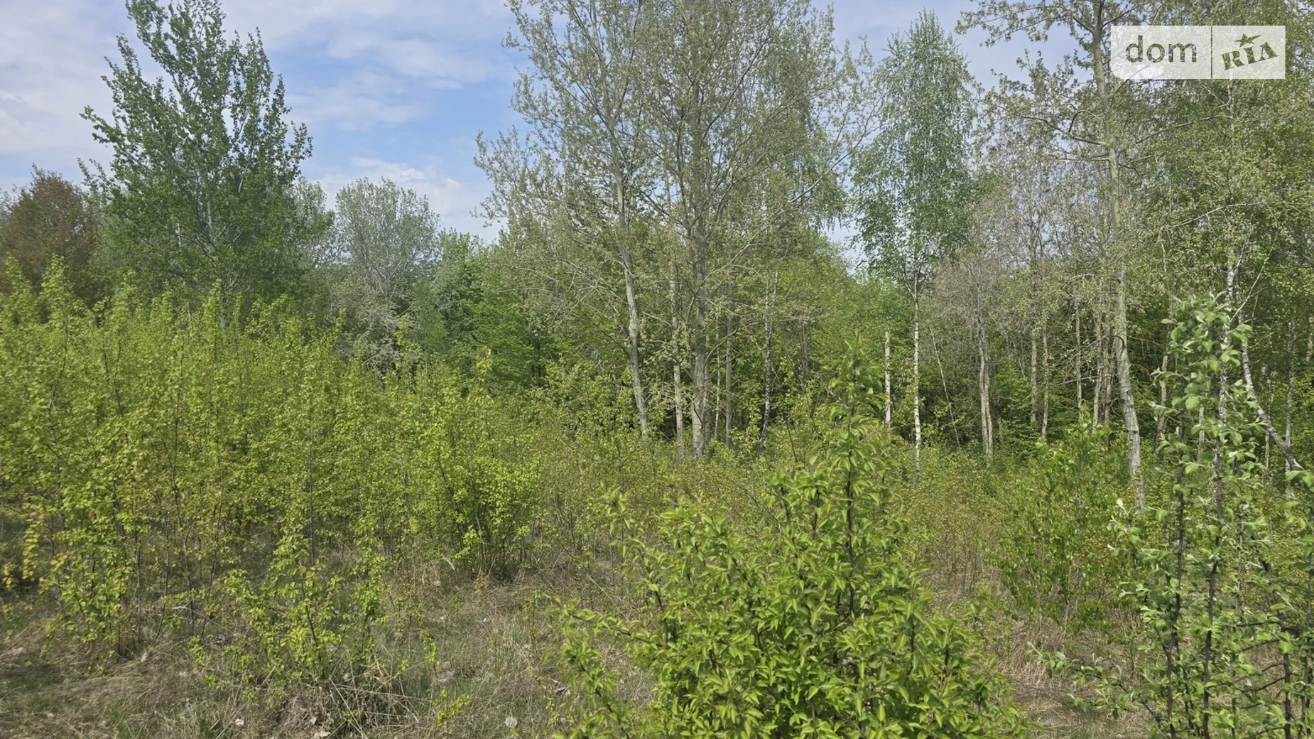 Зарічани, цена: 140000 $ - фото 4