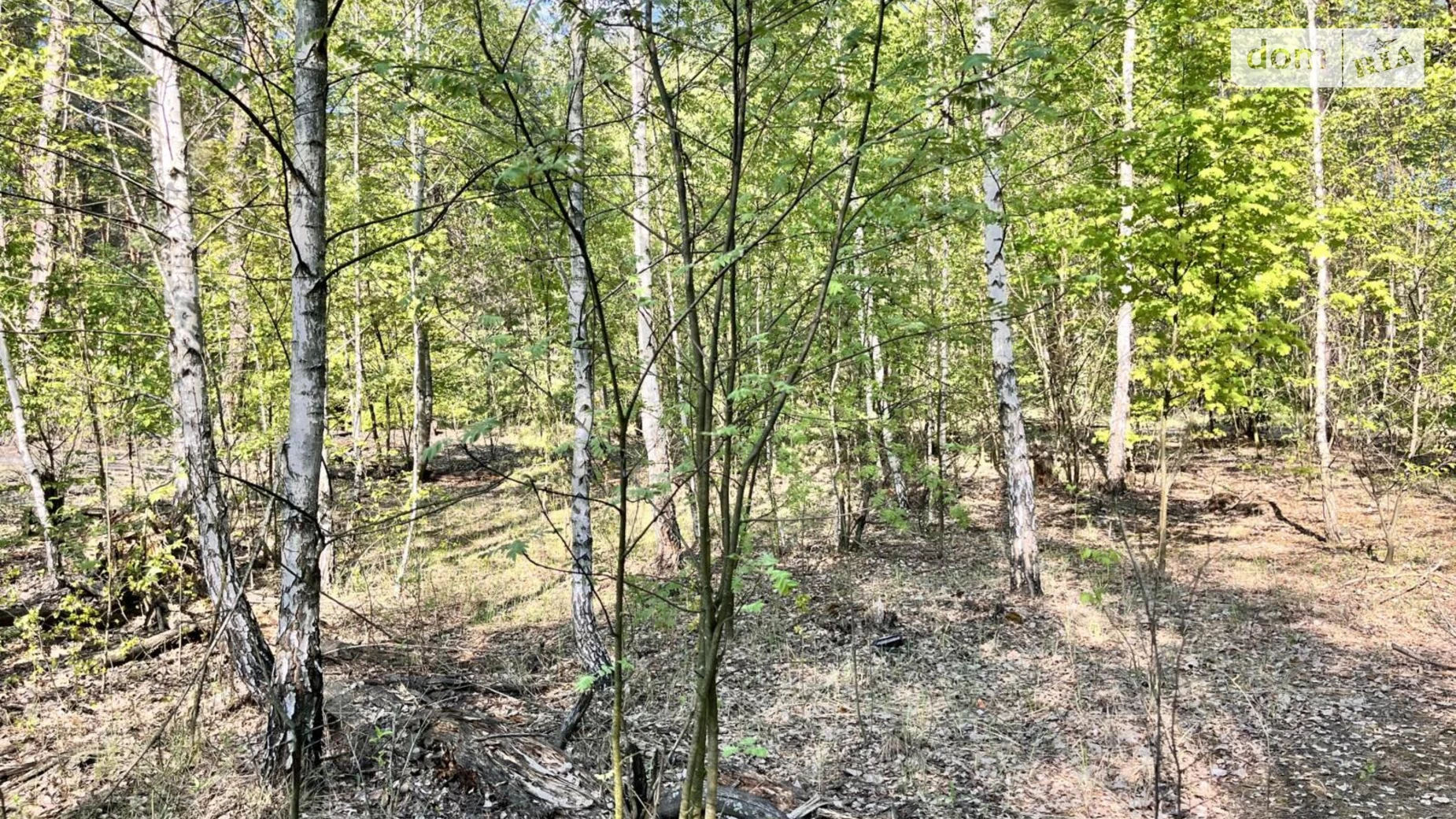 Садовый Жуляны Биківня Київ, цена: 55000 $ - фото 2