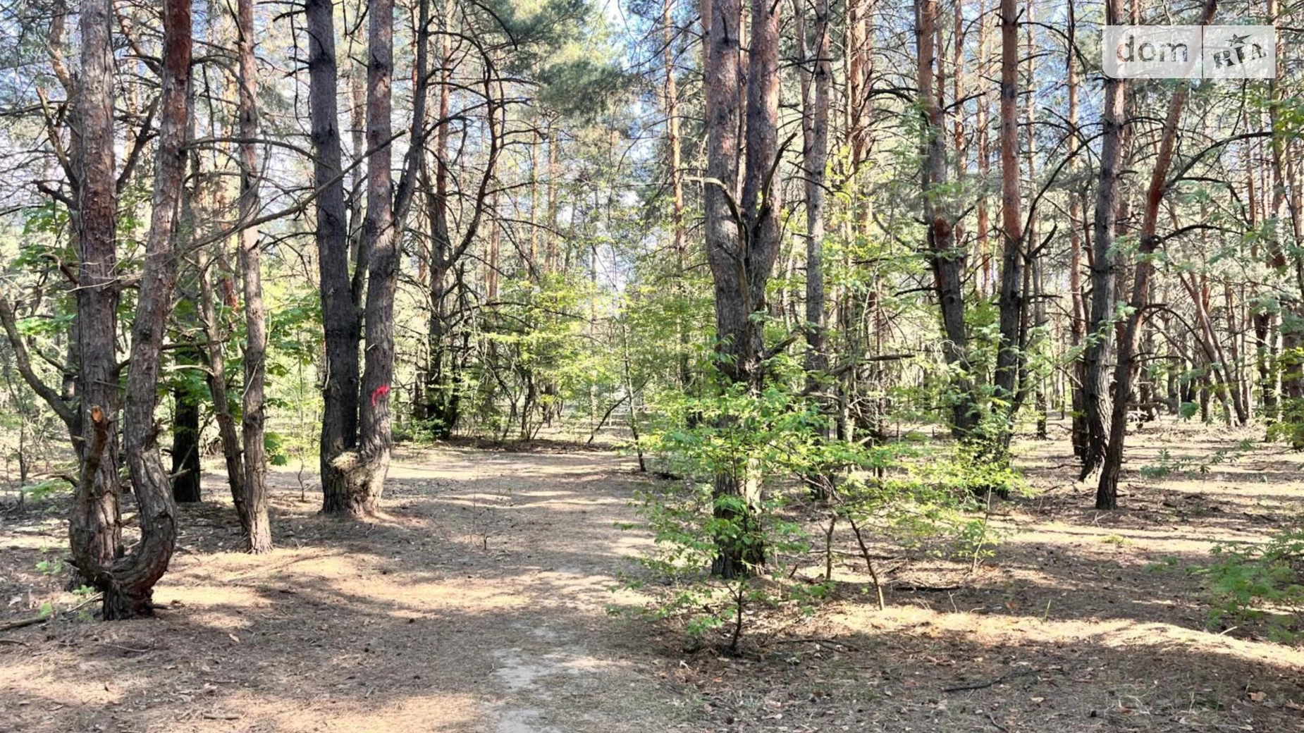 Садовая ул., Деснянский Биківня Київ, цена: 54000 $ - фото 3