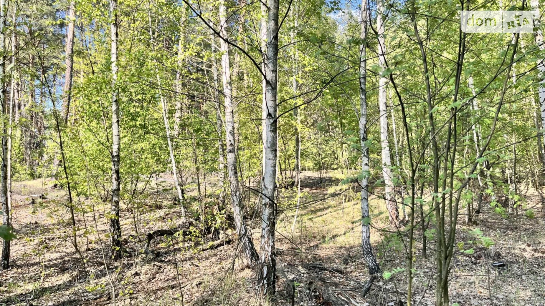 Садовый Жуляны Биківня Київ, цена: 55000 $ - фото 3