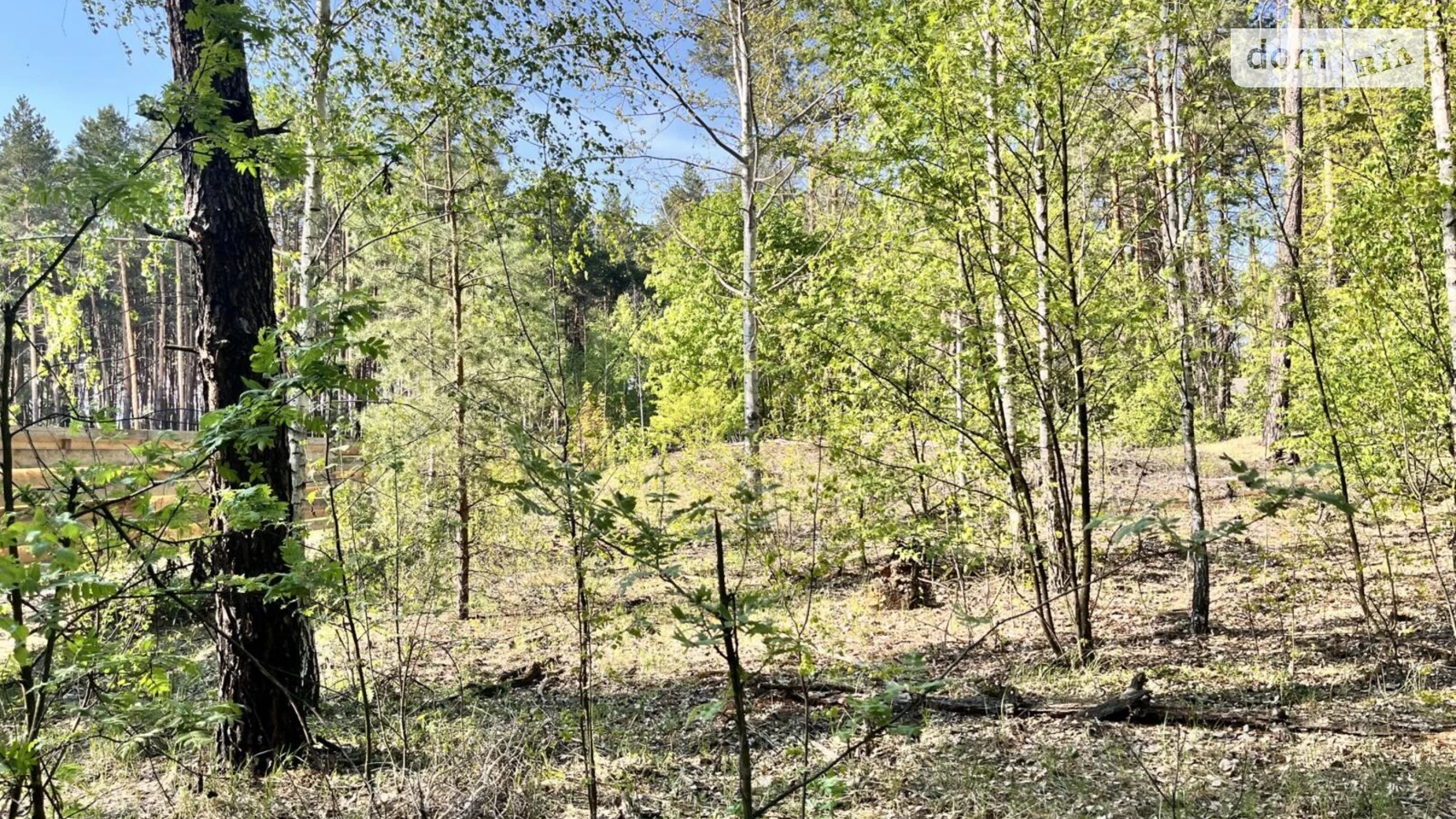 Садовый Жуляны Биківня Київ, цена: 55000 $ - фото 4