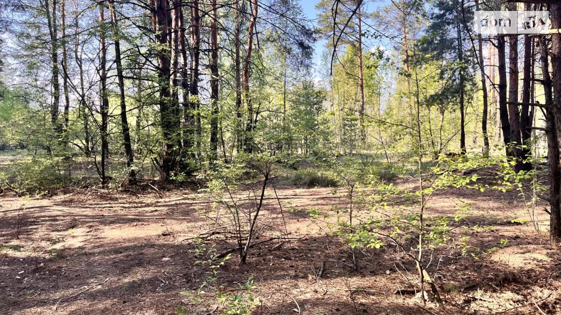 Садовая ул., Деснянский Биківня Київ, цена: 54000 $ - фото 5