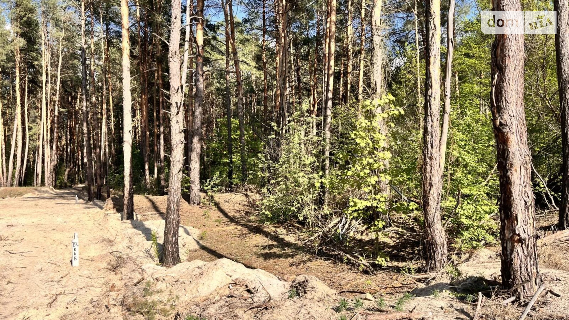 Садовый Жуляны Биківня Київ, цена: 55000 $ - фото 5