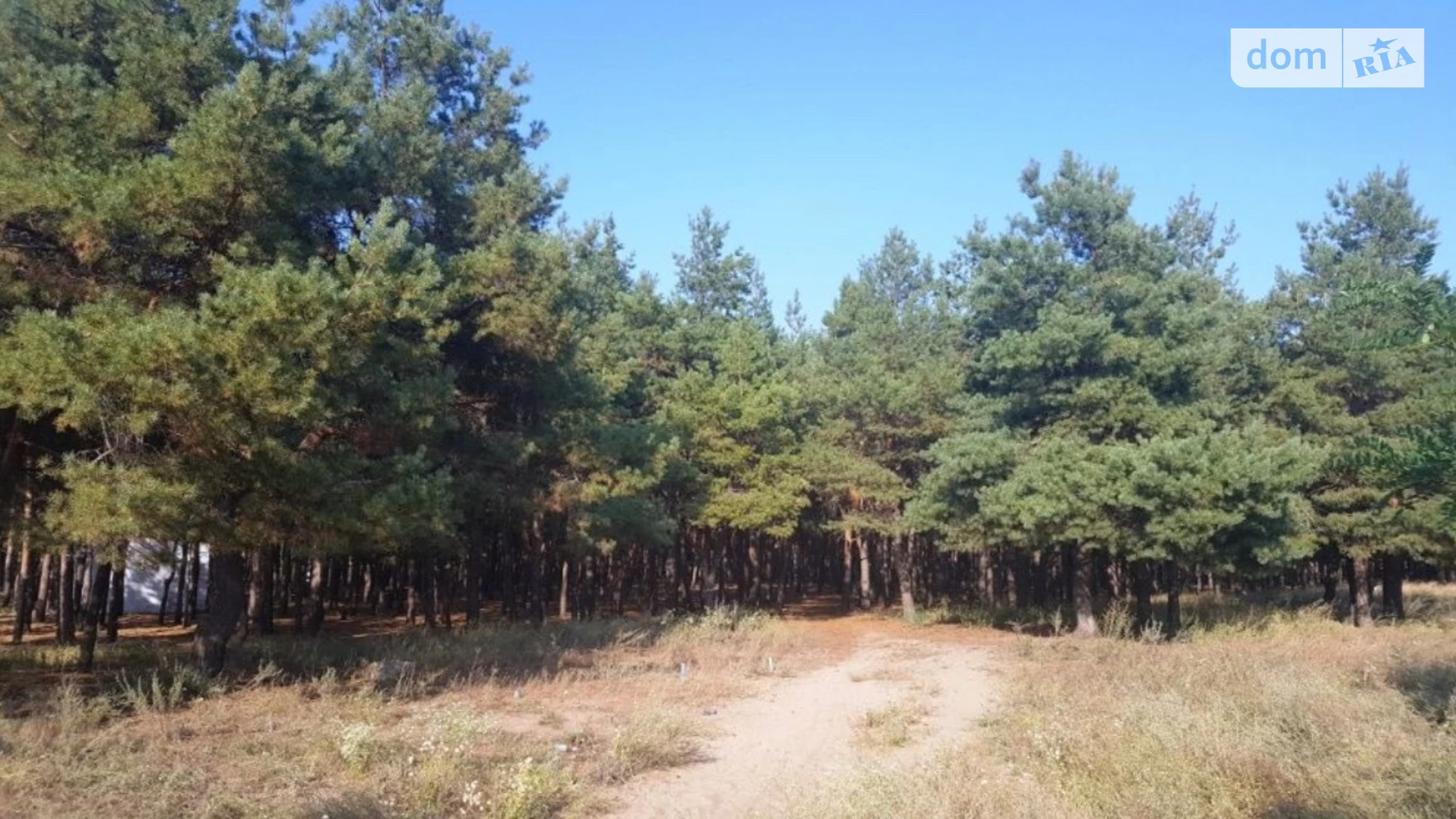 Продається земельна ділянка 10 соток у Миколаївській області, цена: 23000 $ - фото 4