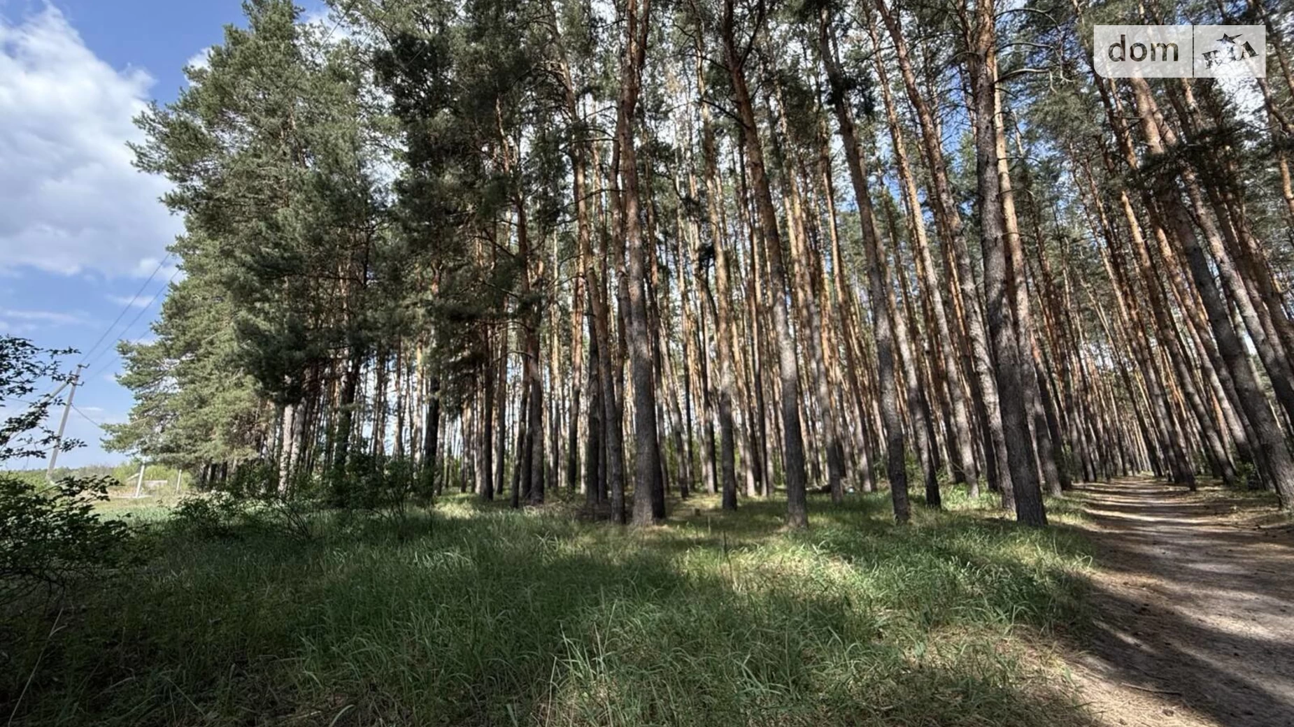Продается земельный участок 40.03 соток в Полтавской области, цена: 79000 $ - фото 3