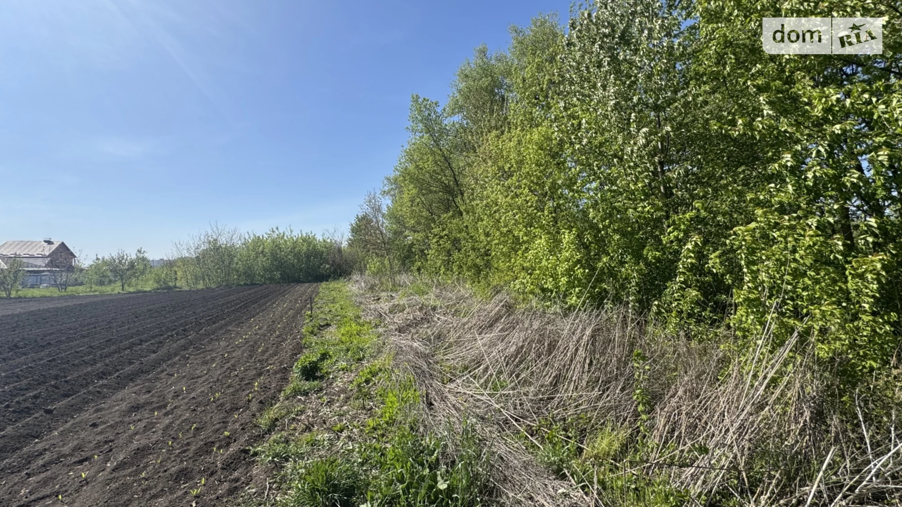 Продається земельна ділянка 10 соток у Вінницькій області, цена: 24000 $ - фото 2