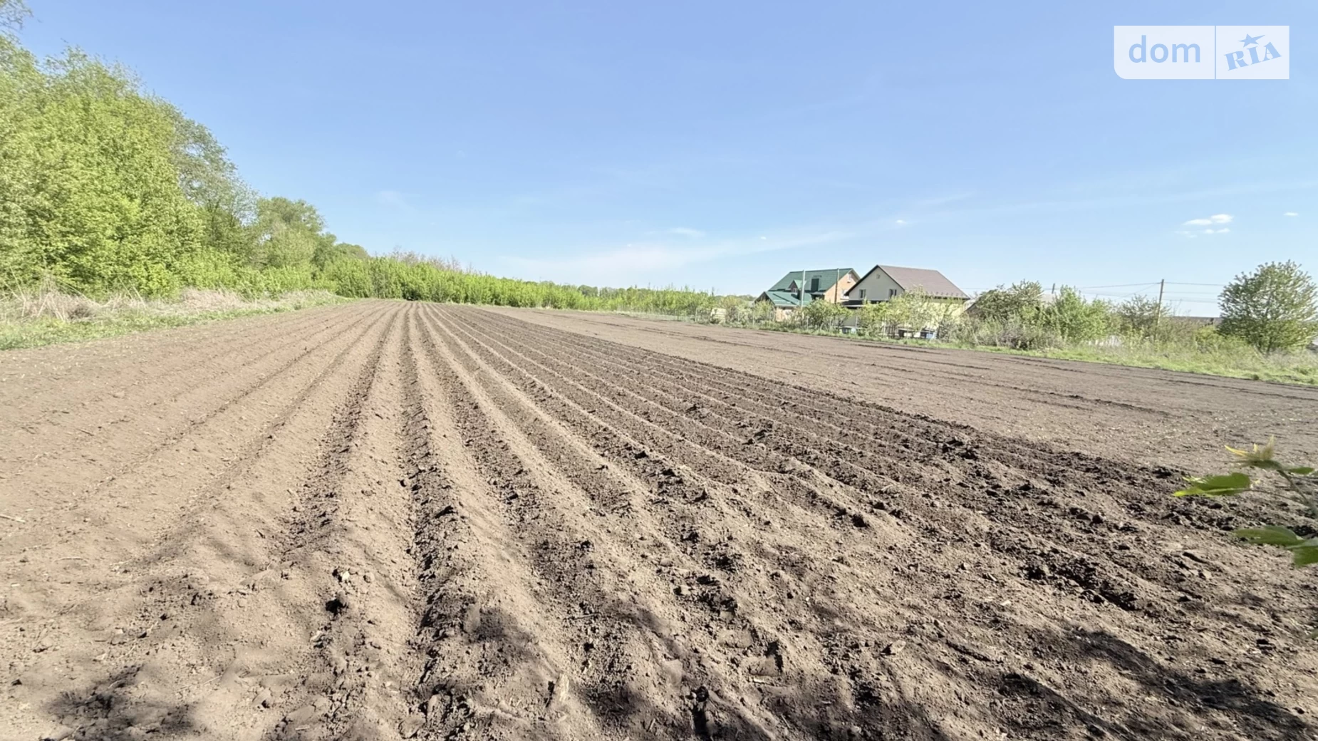 Продається земельна ділянка 10 соток у Вінницькій області, цена: 15000 $ - фото 5