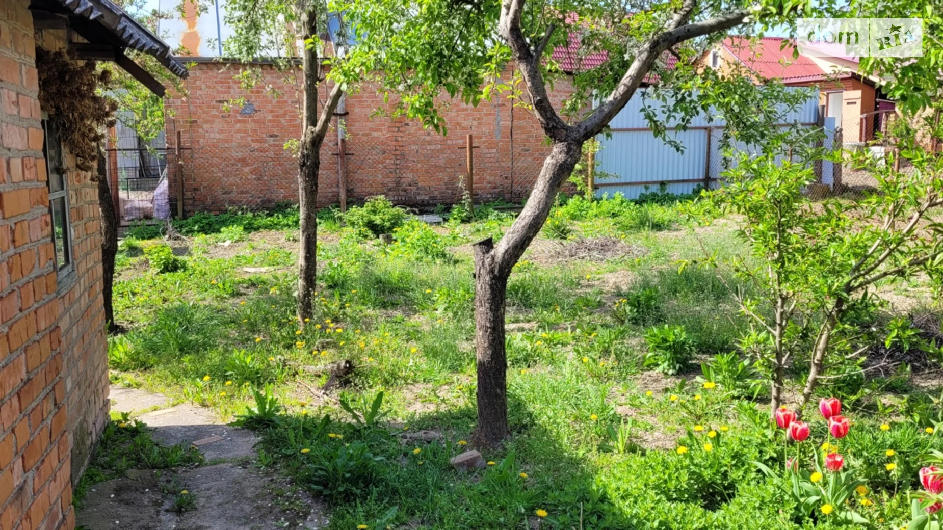 Продается одноэтажный дом 63.9 кв. м с террасой, цена: 65000 $ - фото 2