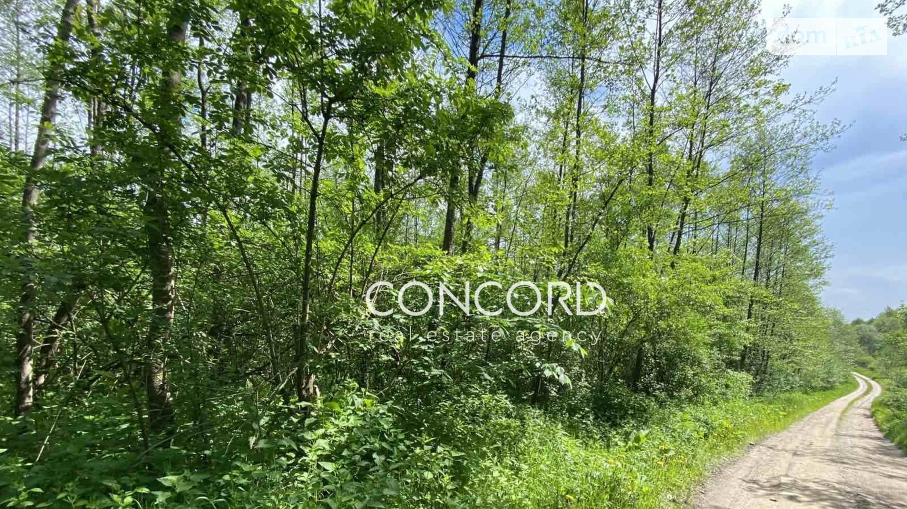 Продается земельный участок 200.02 соток в Львовской области, цена: 220000 € - фото 5