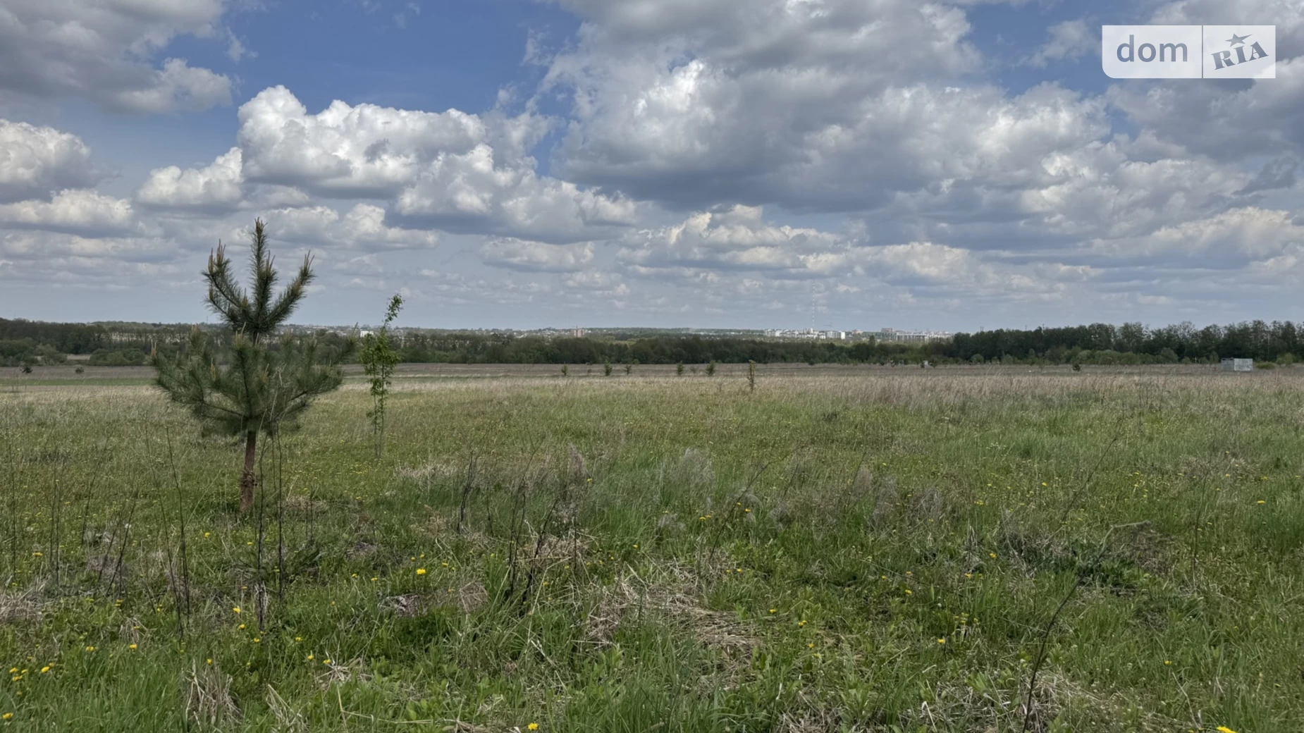 Продається земельна ділянка 93 соток у Вінницькій області, цена: 186000 $ - фото 4