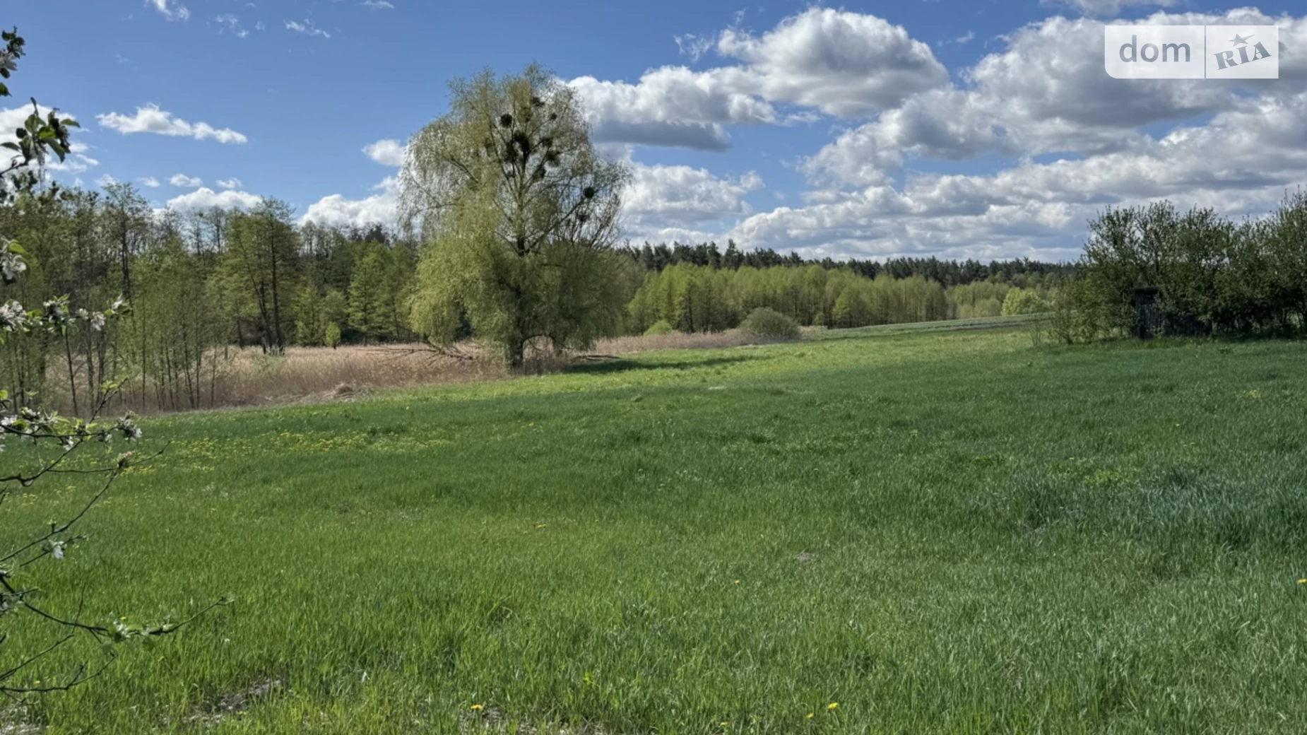 вул. Поліська Велика Рача, цена: 4250 $ - фото 2