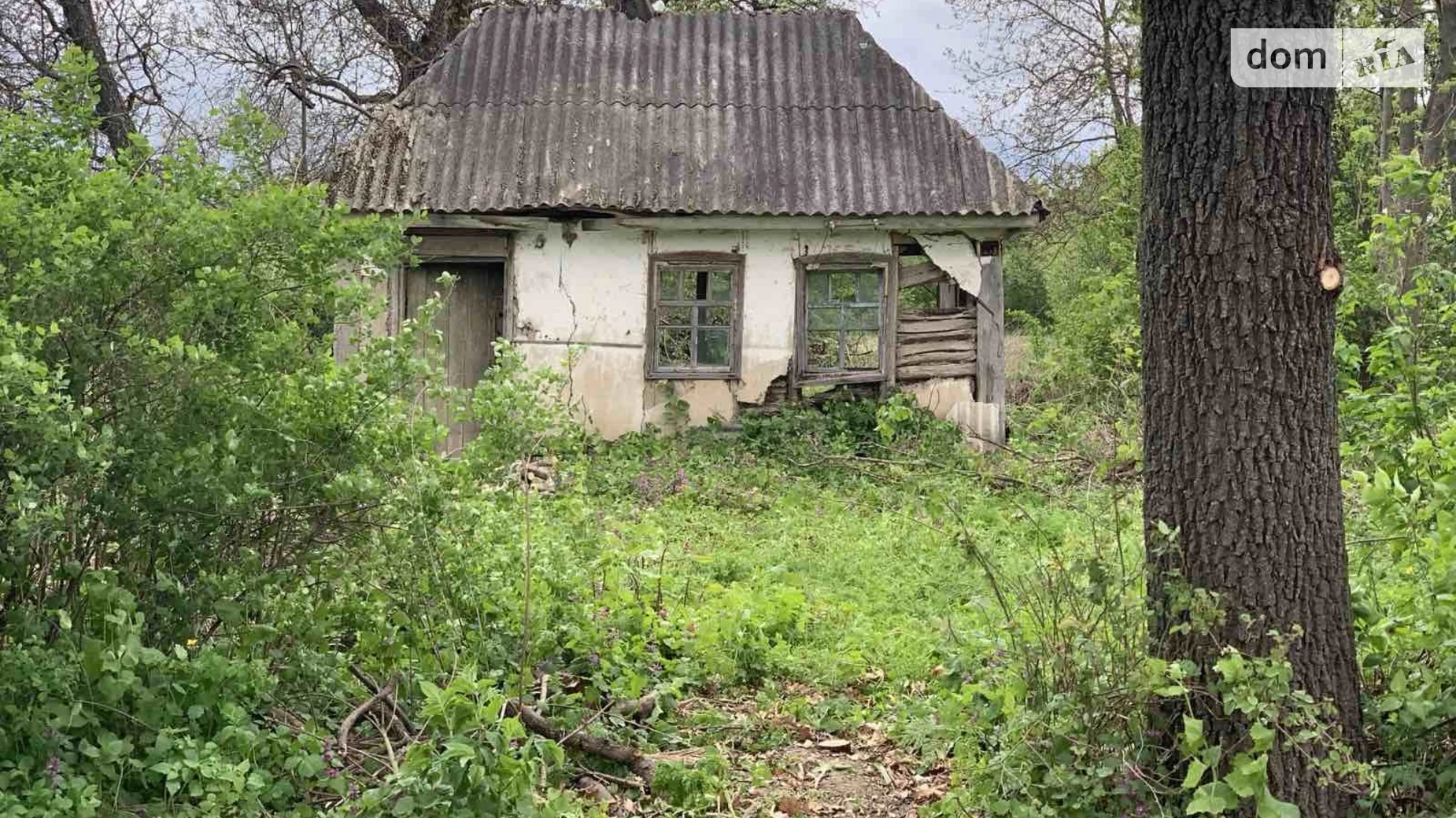 Продается земельный участок 41.6 соток в Винницкой области, цена: 15000 $ - фото 3