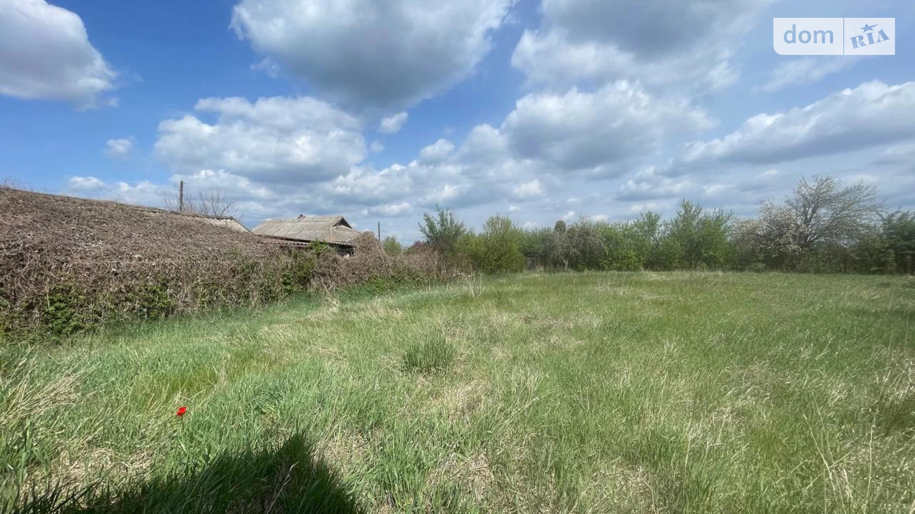 Продається одноповерховий будинок 61.9 кв. м з подвалом, цена: 21000 $ - фото 5