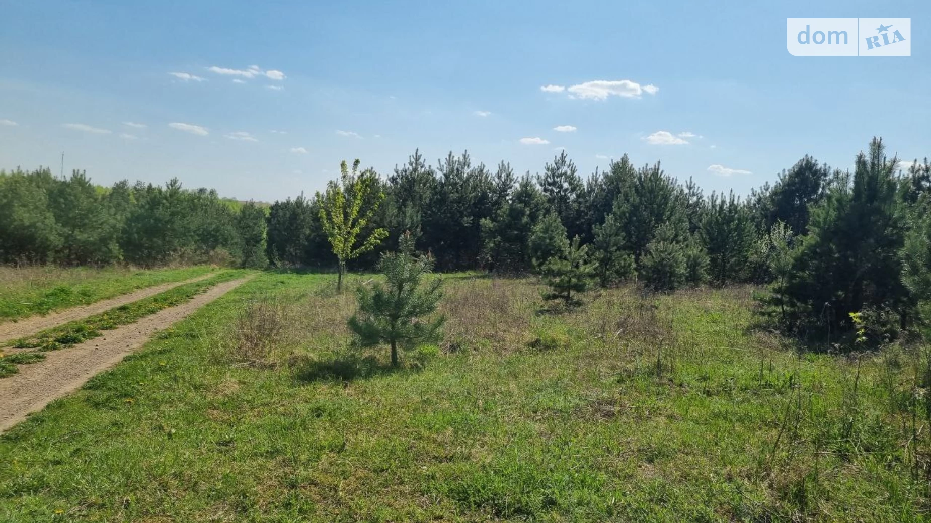 Продается земельный участок 10 соток в Ровенской области, цена: 2800 $ - фото 2