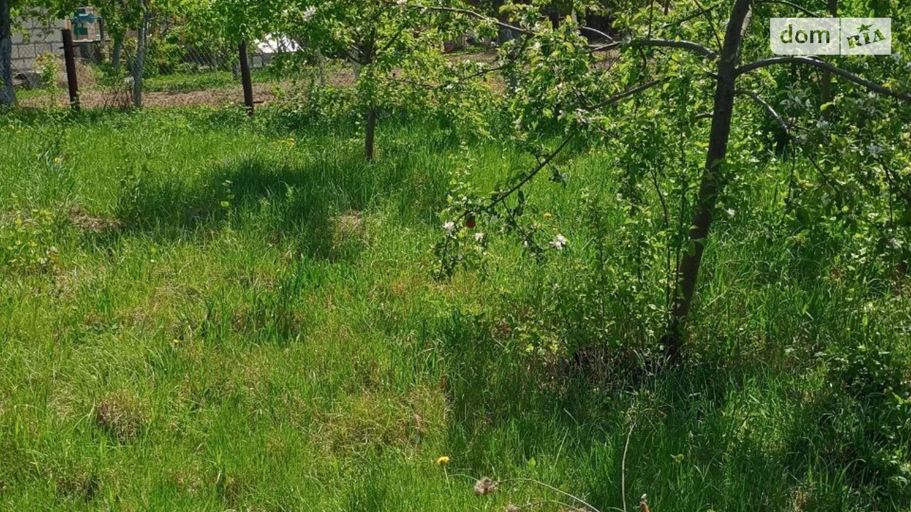 ул. Берёзовая Винницкие Хутора, цена: 40000 $ - фото 4