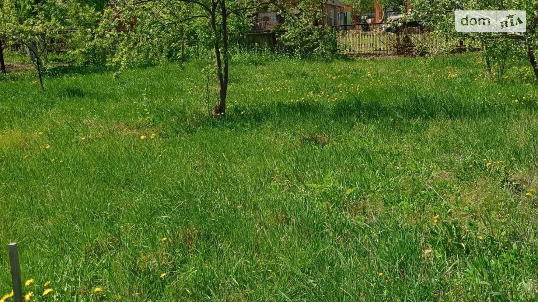 ул. Берёзовая Винницкие Хутора, цена: 40000 $ - фото 2