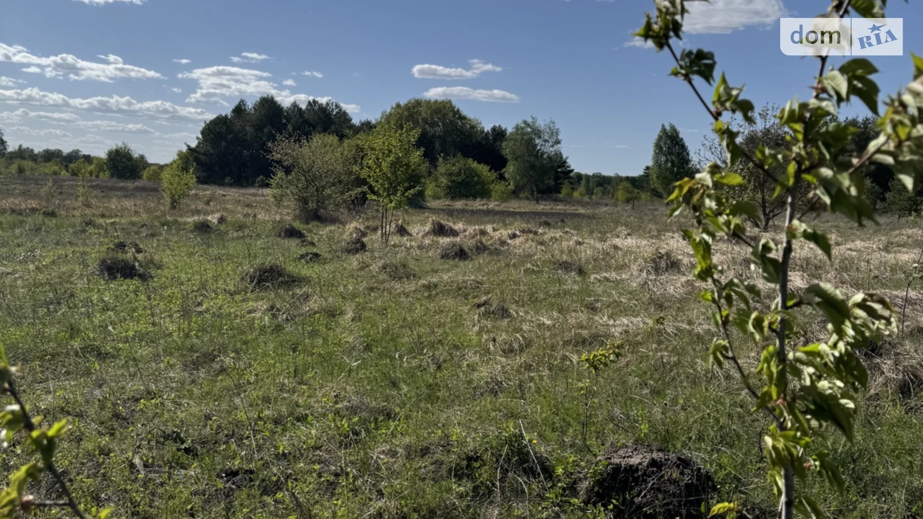 Продається земельна ділянка 6 соток у Вінницькій області, цена: 3000 $ - фото 3