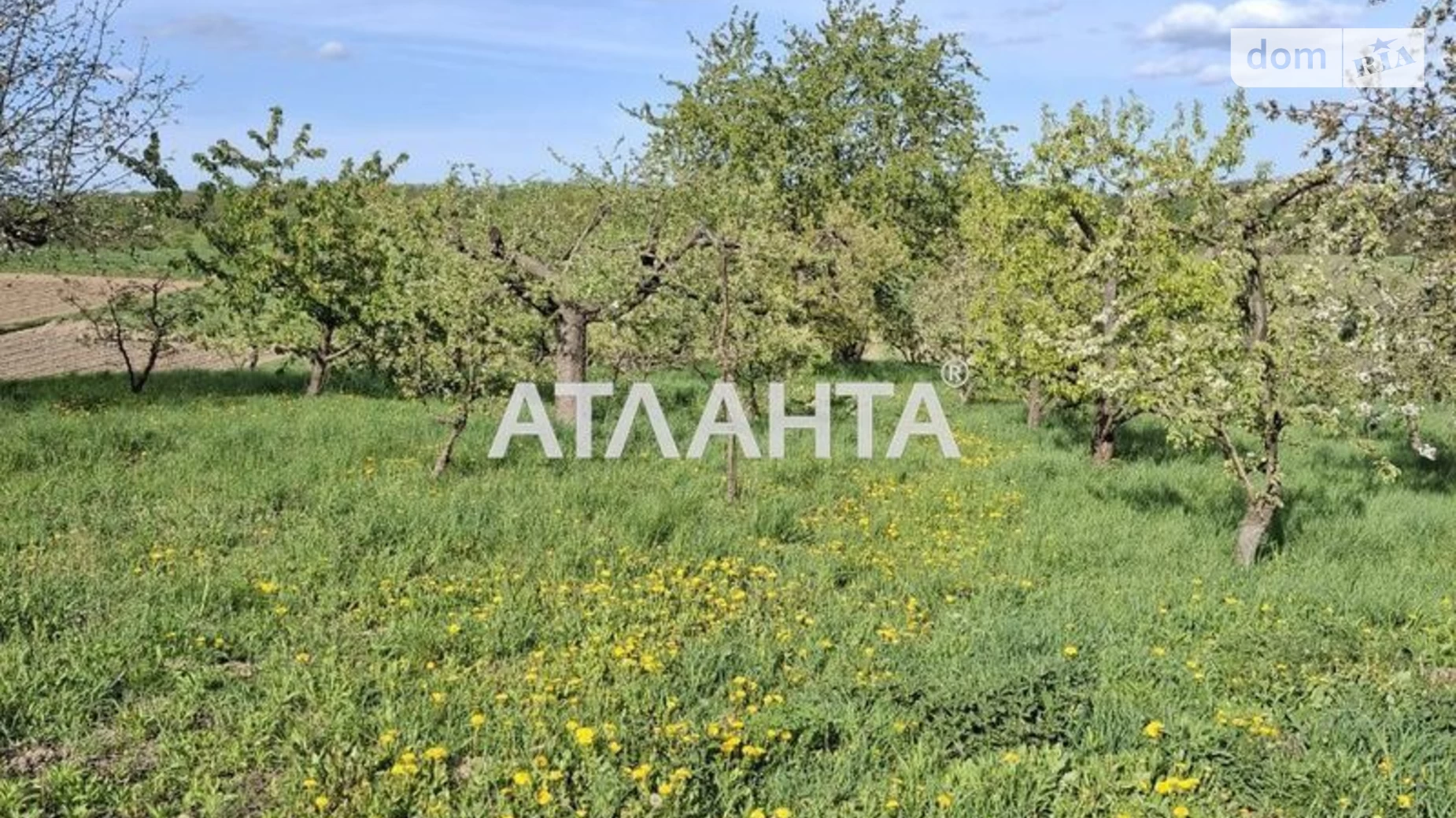 Продается одноэтажный дом 200 кв. м с камином, цена: 120000 $ - фото 4