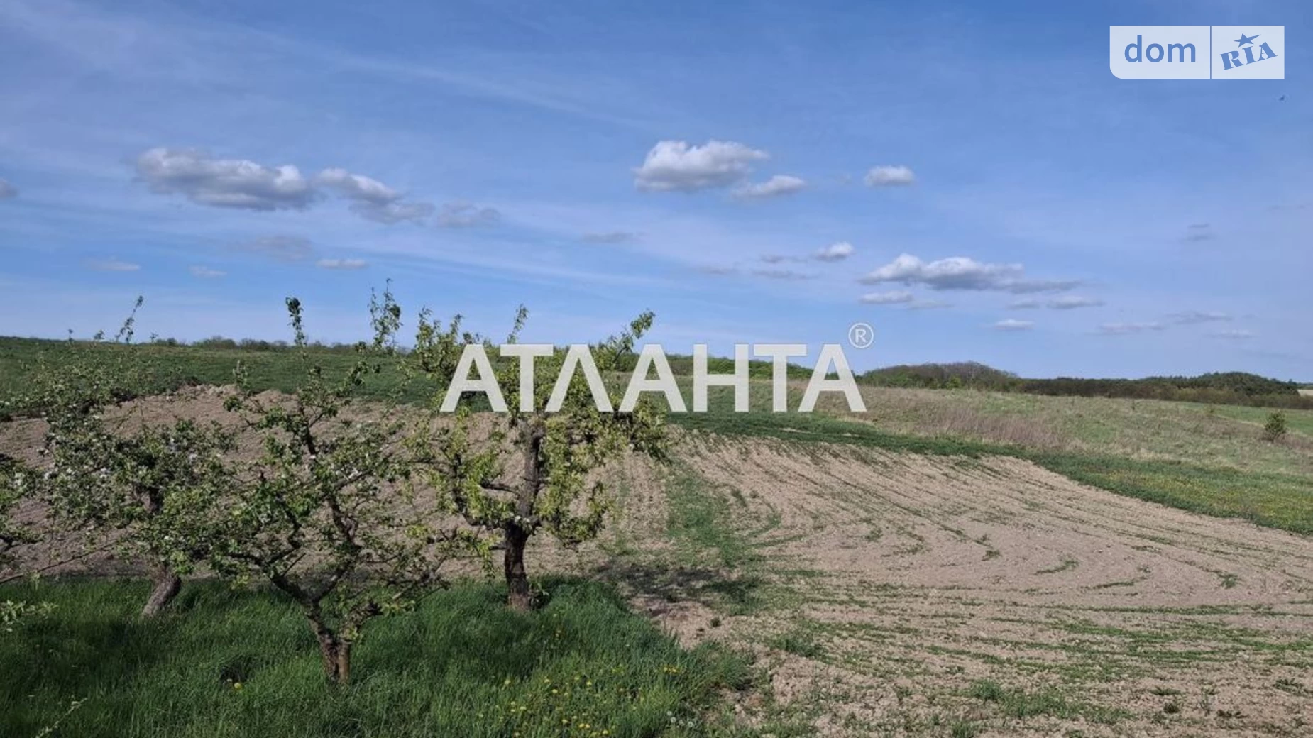 Продается одноэтажный дом 200 кв. м с камином, цена: 120000 $ - фото 3