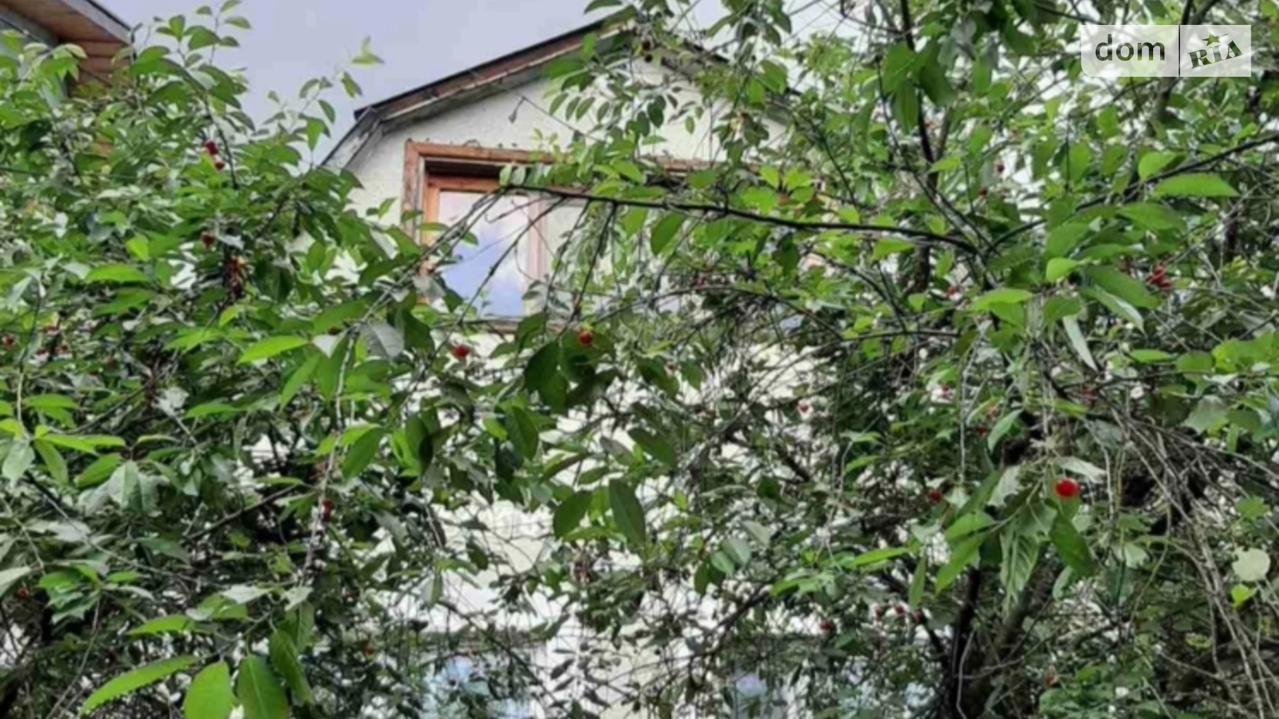 Середня, 20 Ореховица, цена: 26000 $ - фото 2