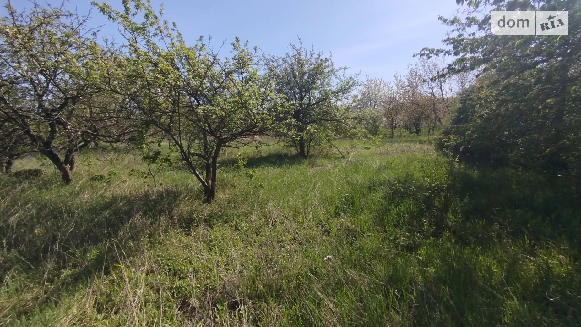 вулиця Лесі Українки Лука-Мелешковская, цена: 25000 $ - фото 4