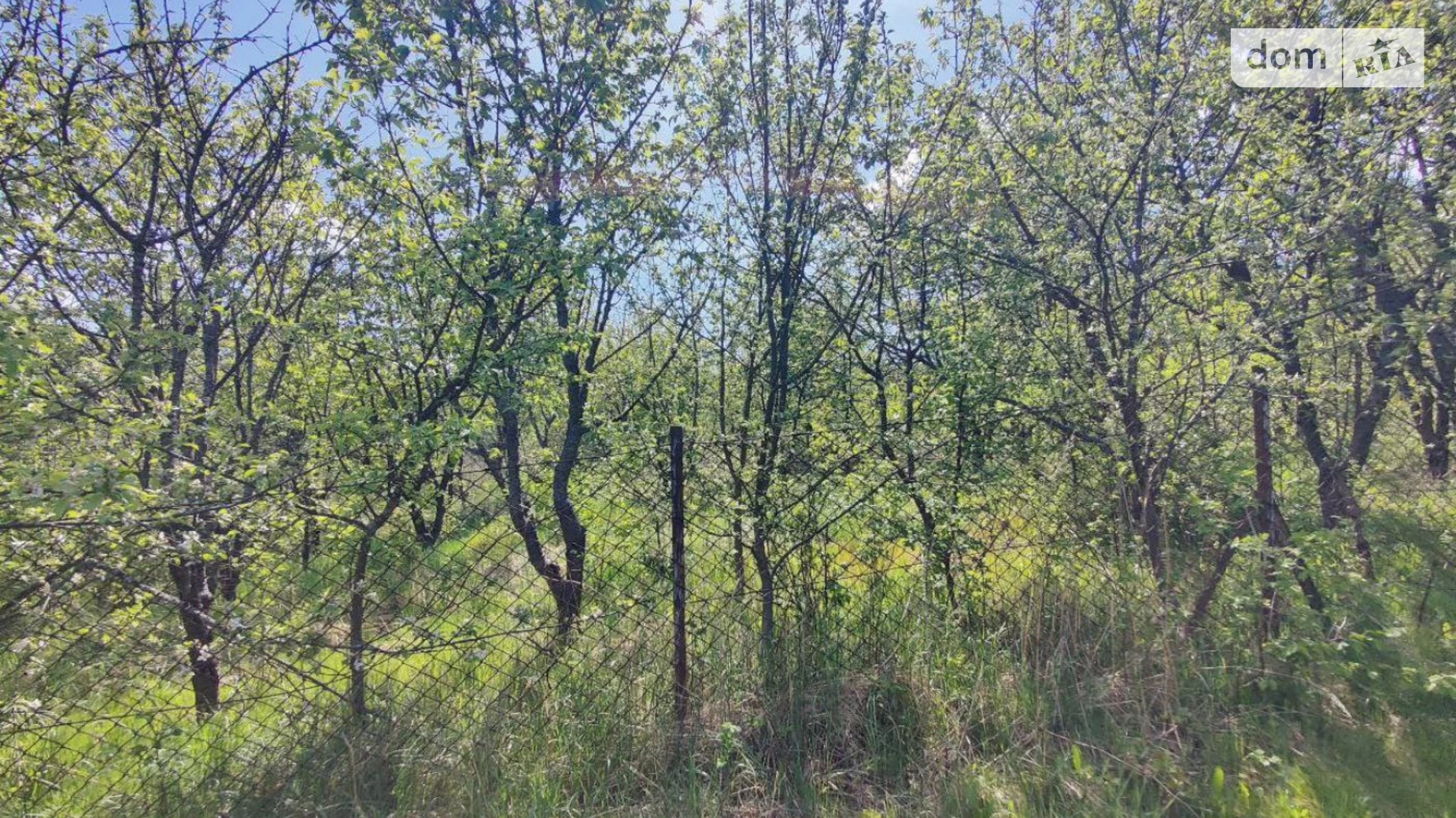 Бірки (Яворів), цена: 4500 $ - фото 4