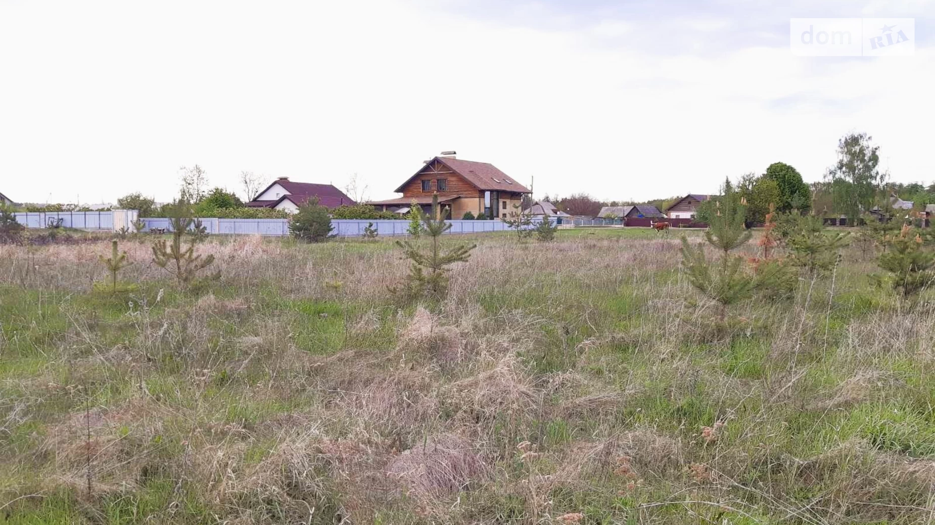 вул. Сонячна Верхоли, цена: 12000 $ - фото 5