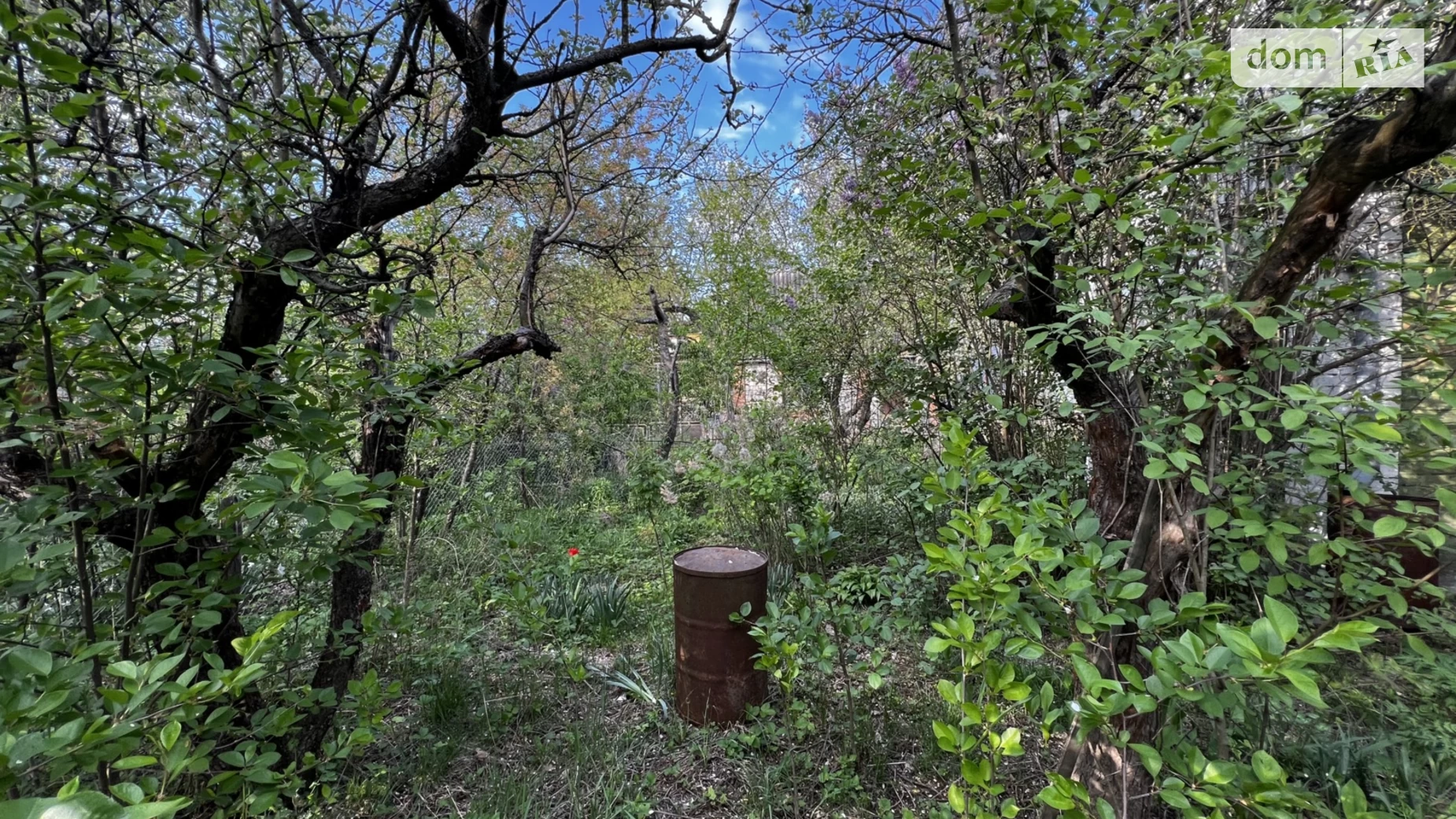 Продается одноэтажный дом 25 кв. м с баней/сауной, цена: 23000 $ - фото 4