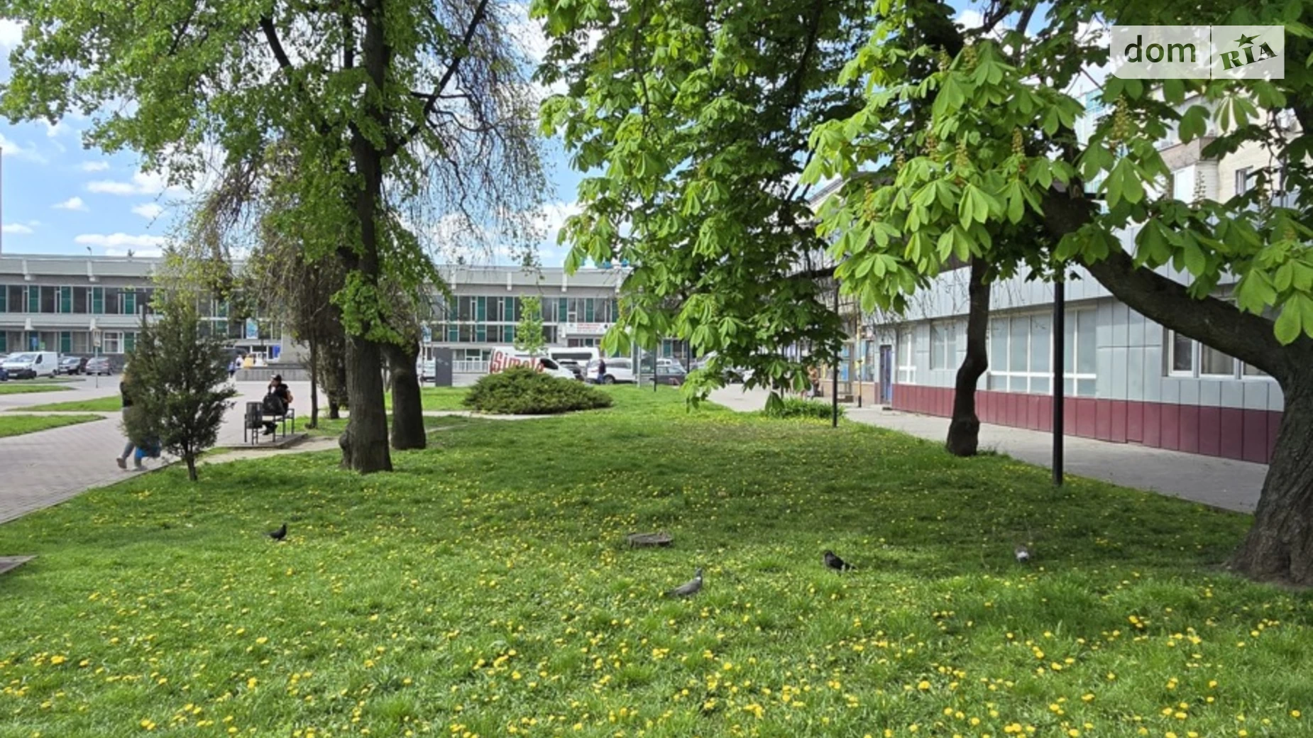 Продается объект сферы услуг 124 кв. м в 1-этажном здании, цена: 42000 $ - фото 3