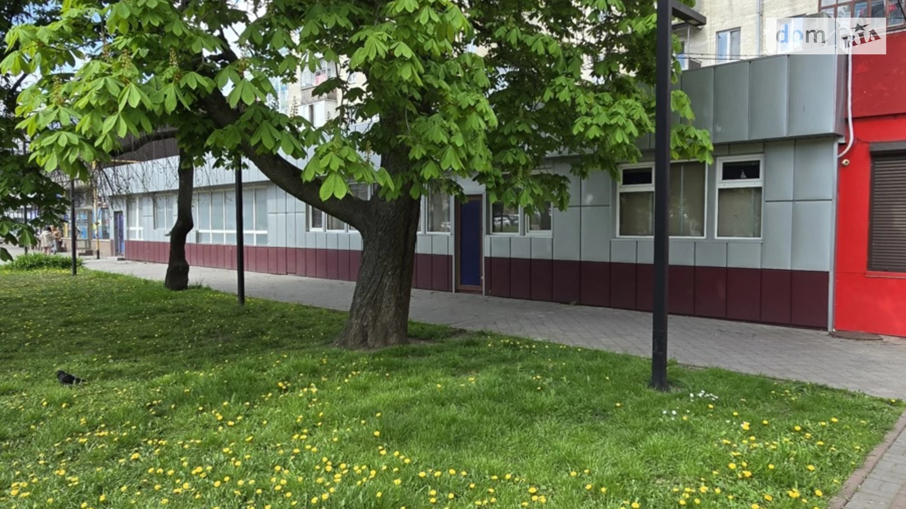 Продается объект сферы услуг 124 кв. м в 1-этажном здании, цена: 42000 $ - фото 4