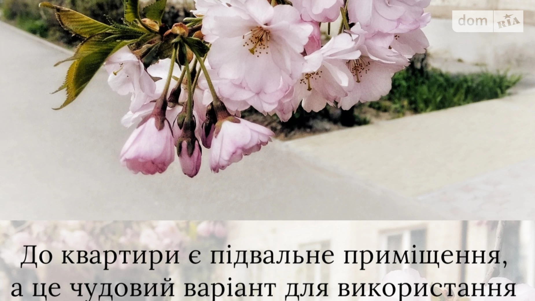 Продается 2-комнатная квартира 41.2 кв. м в Виннице, ул. Василия Порика, 2 - фото 4