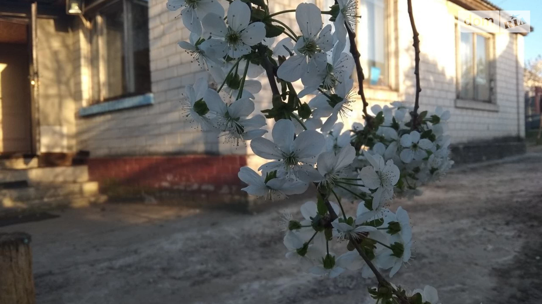 Продається одноповерховий будинок 101 кв. м з верандою, цена: 35000 $ - фото 3