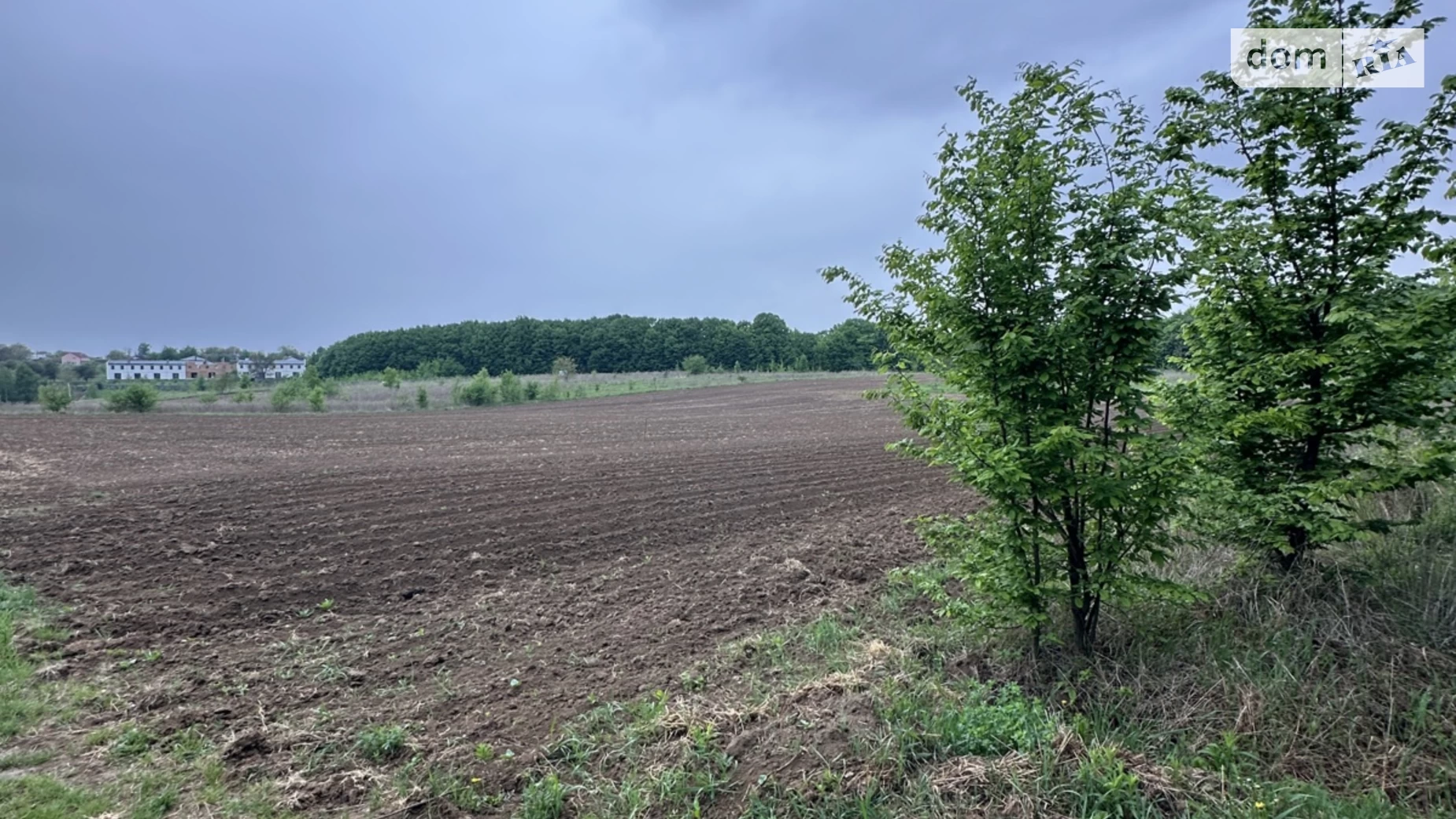 вул. Кармелюка Зарванці, цена: 22000 $ - фото 3