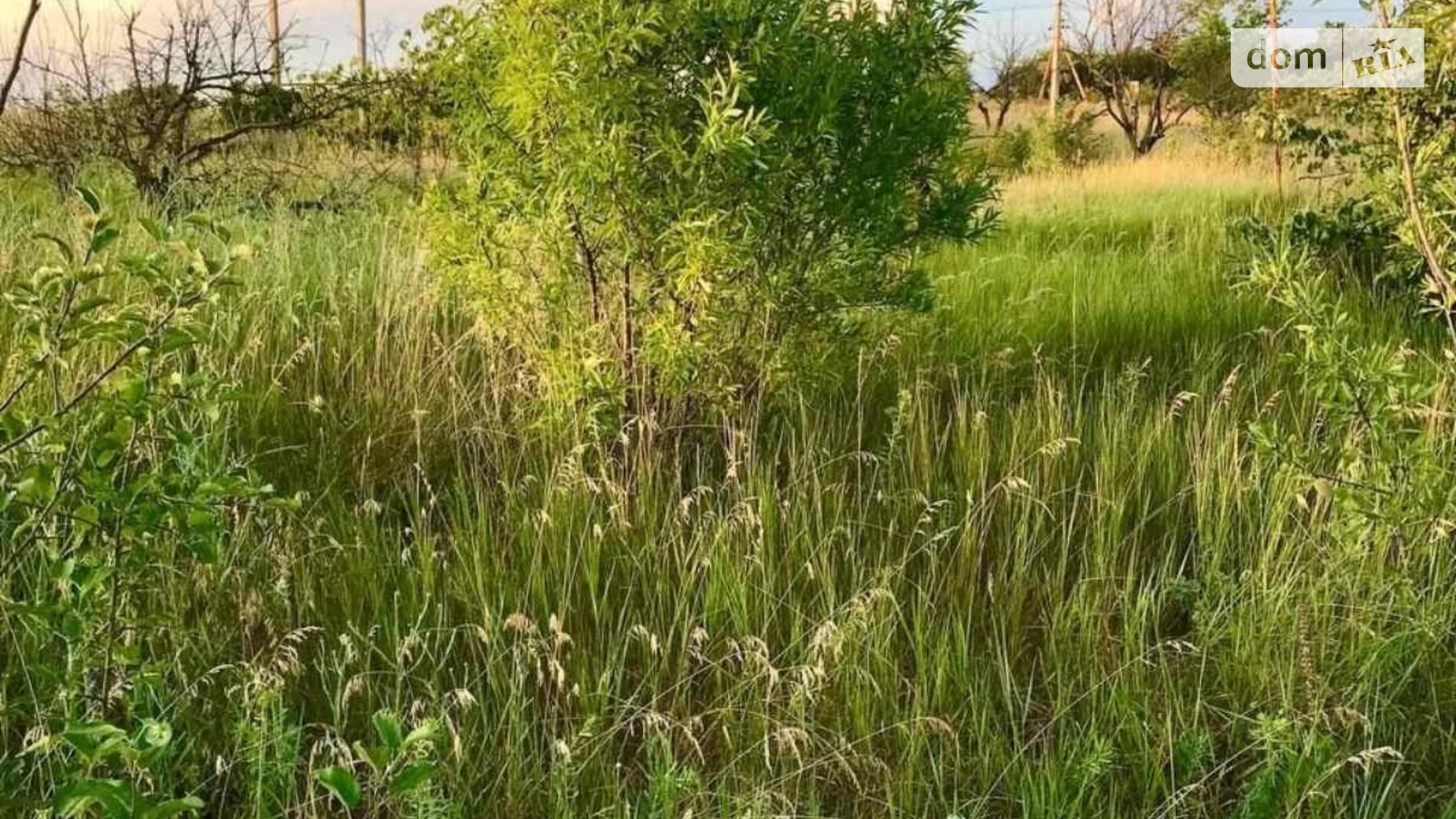Продається земельна ділянка 25 соток у Одеській області, цена: 25000 $ - фото 4