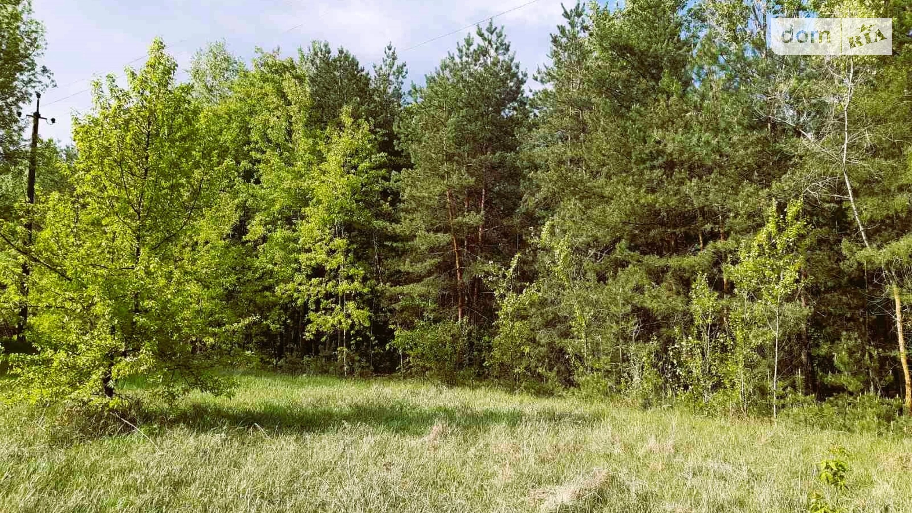 Продается земельный участок 27.1 соток в Полтавской области, цена: 13000 $ - фото 2