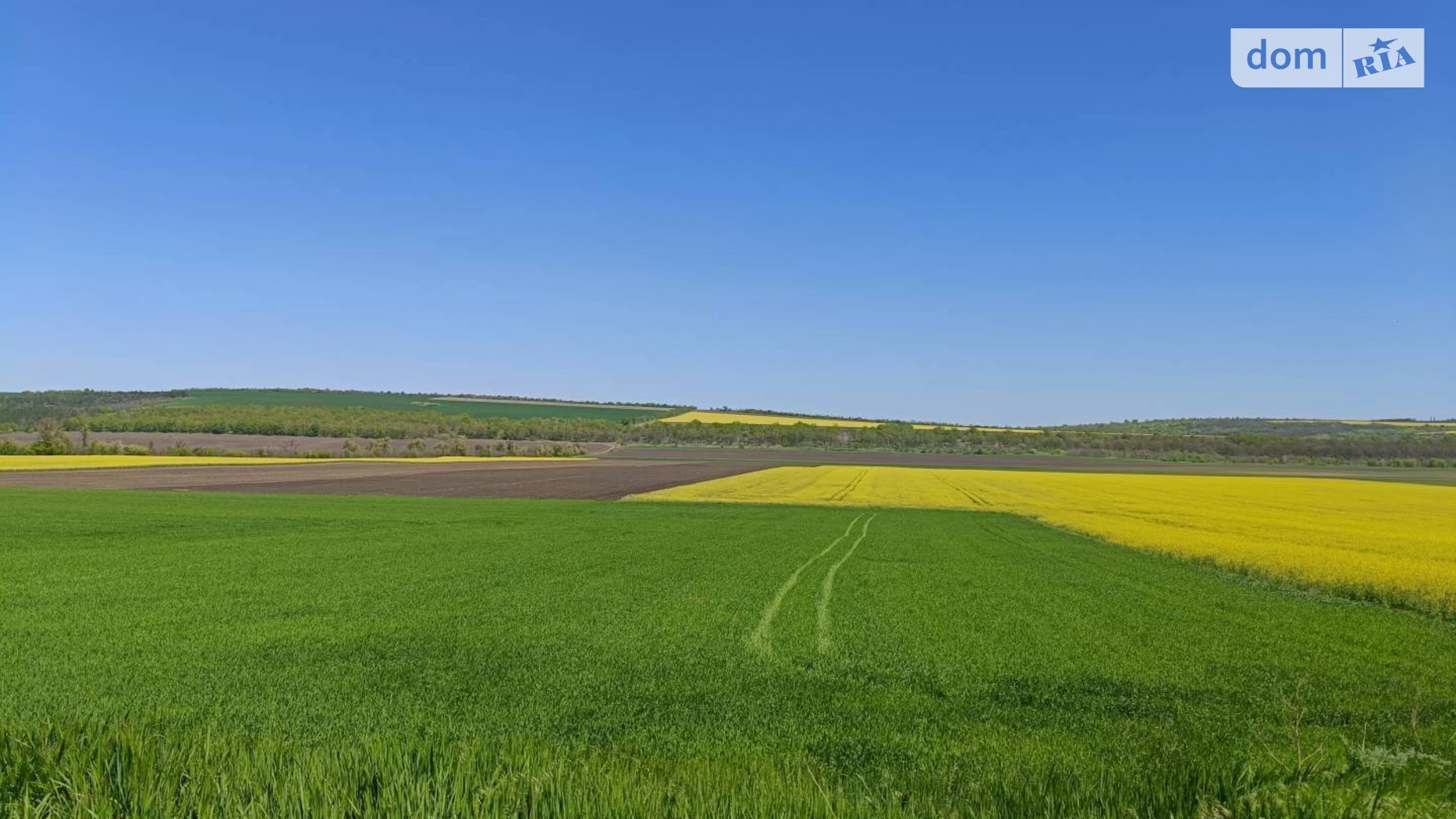 Продається земельна ділянка 15 соток у Одеській області, цена: 6000 $ - фото 5