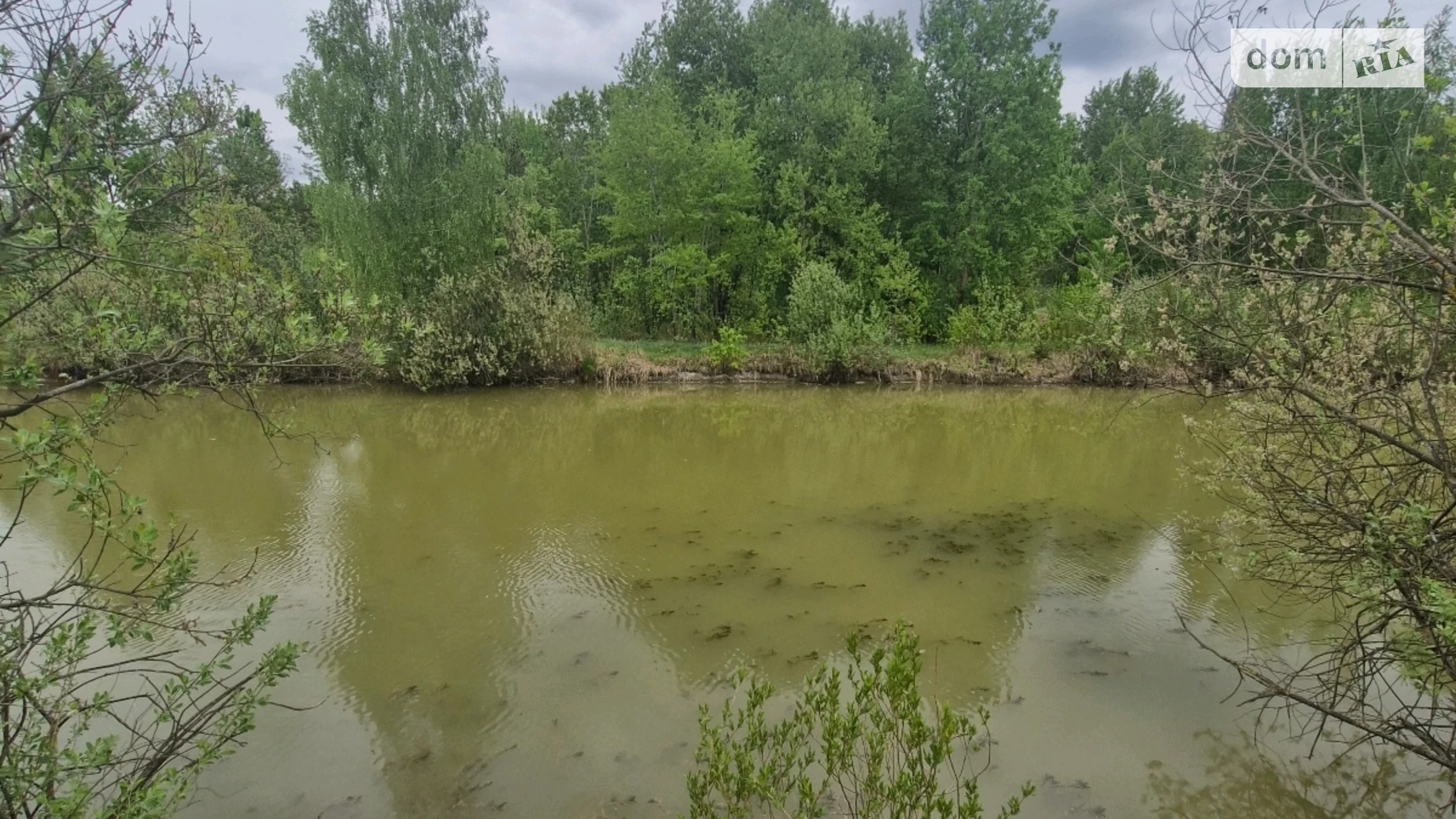 Продається земельна ділянка 22 соток у Житомирській області, цена: 15500 $ - фото 5