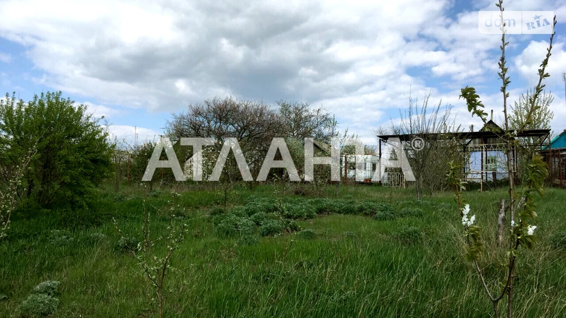 Продается земельный участок 30 соток в Одесской области, цена: 26000 $ - фото 2