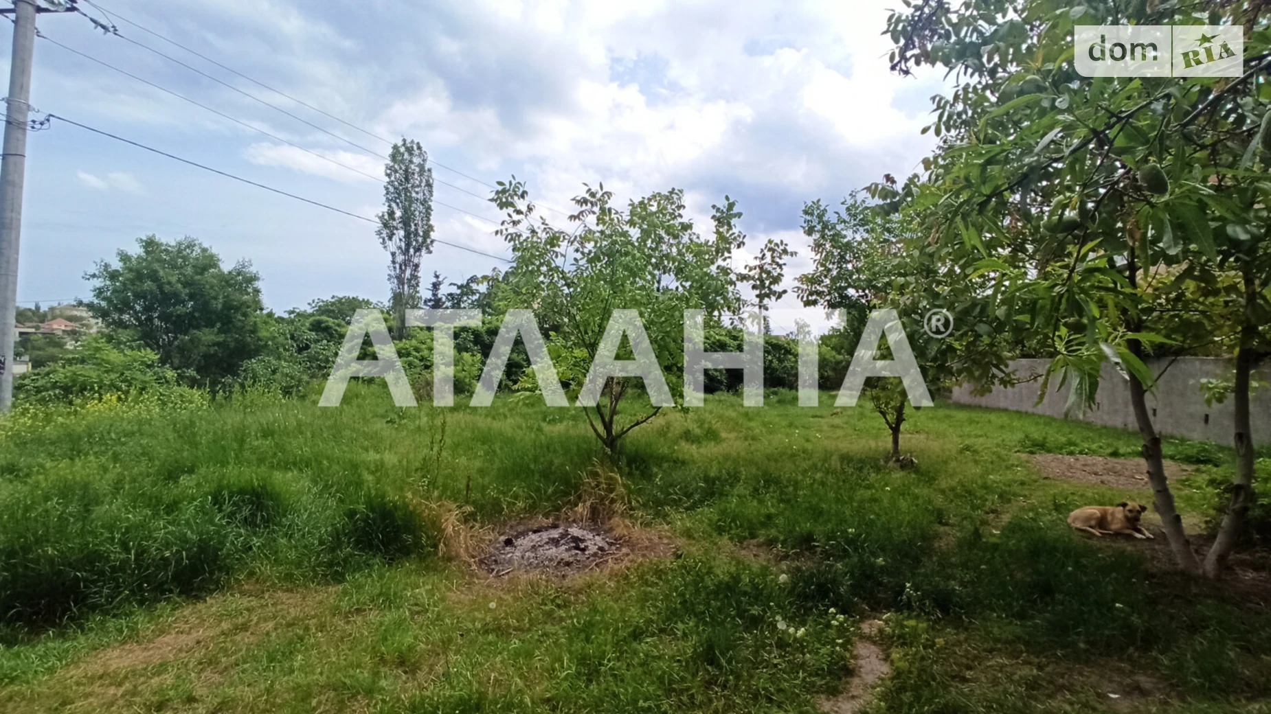 Продается земельный участок 9.86 соток в Одесской области, цена: 55000 $ - фото 2