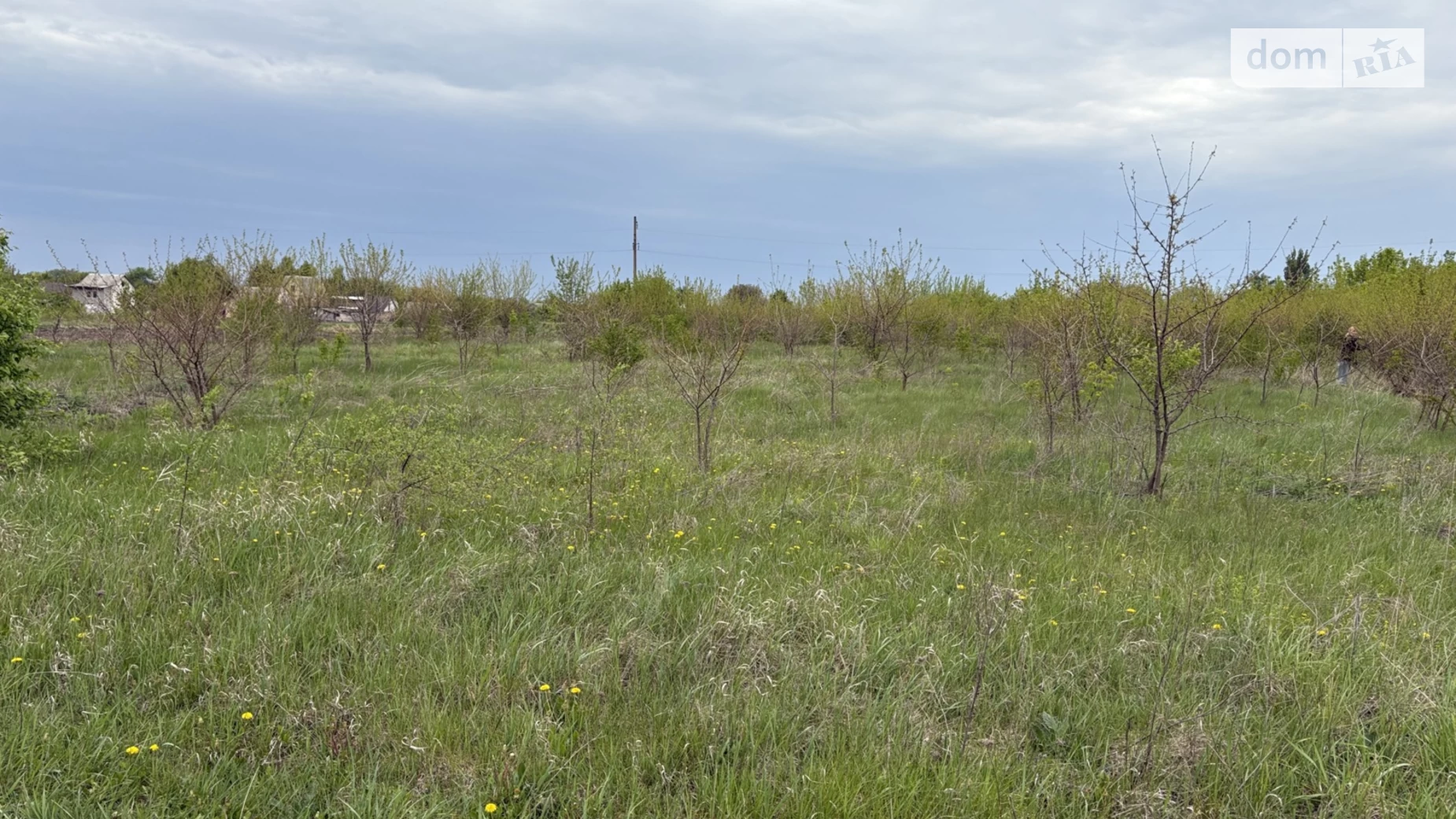 вул. Молодіжна Мар'янівка (Васильків), цена: 12000 $ - фото 2