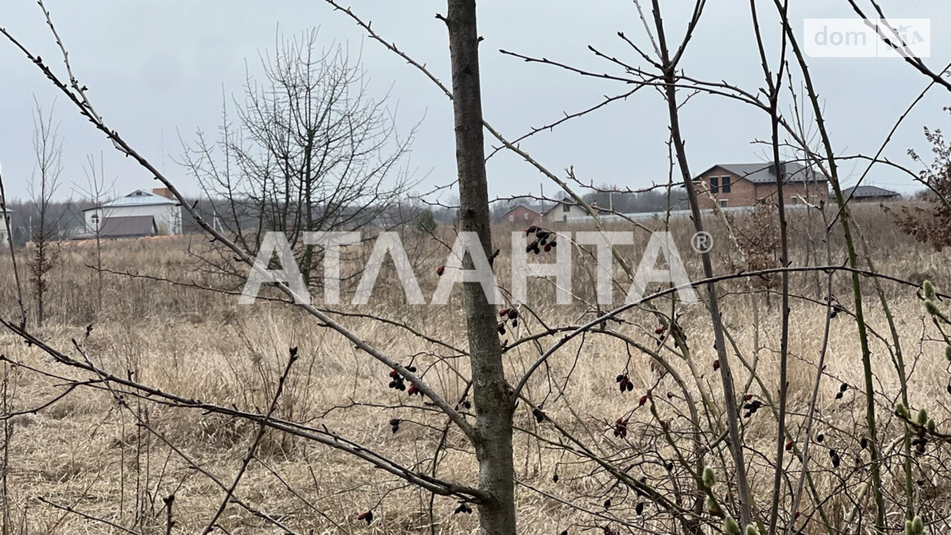 Продається земельна ділянка 20 соток у Вінницькій області, цена: 35000 $ - фото 5