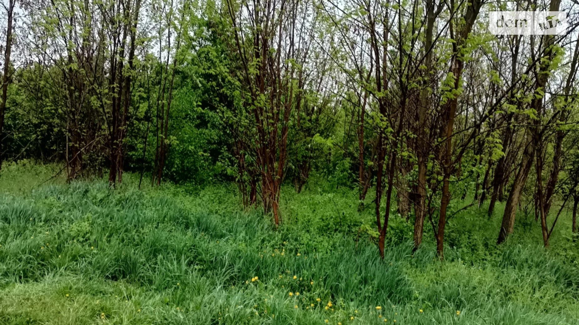 вул. Ярослава Галана Лука-Мелешківська, цена: 25000 $ - фото 3