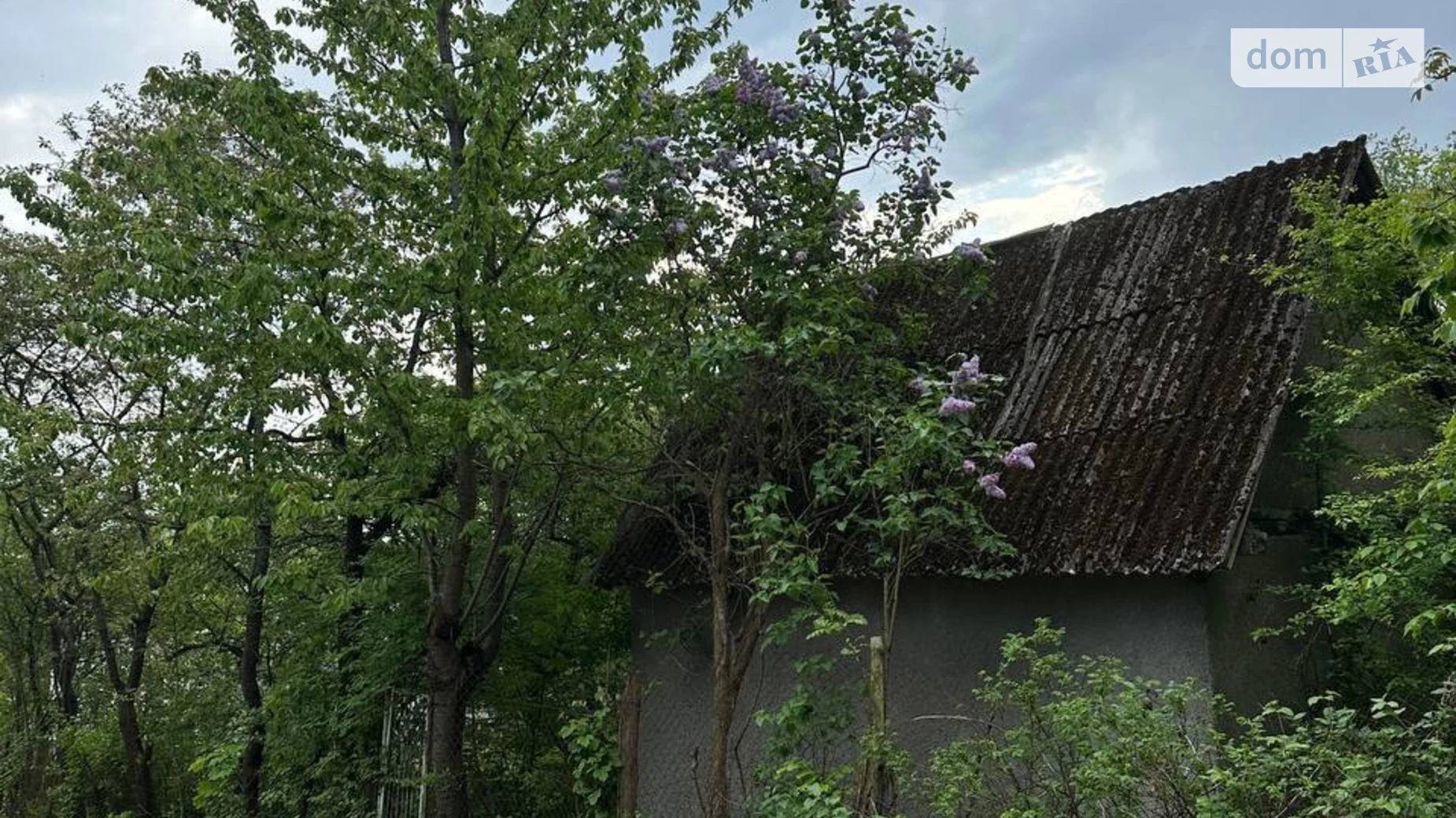 Винники (Львов), цена: 40000 $ - фото 3