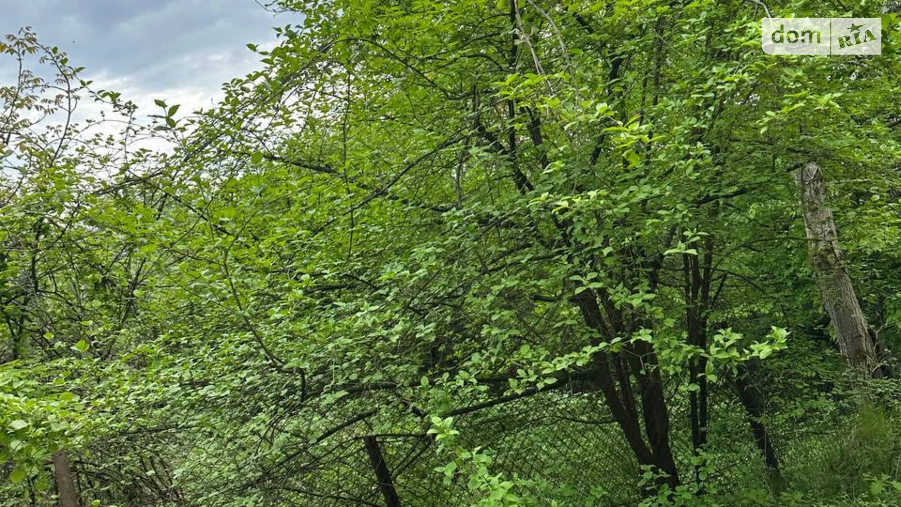 Винники (Львов), цена: 40000 $ - фото 5